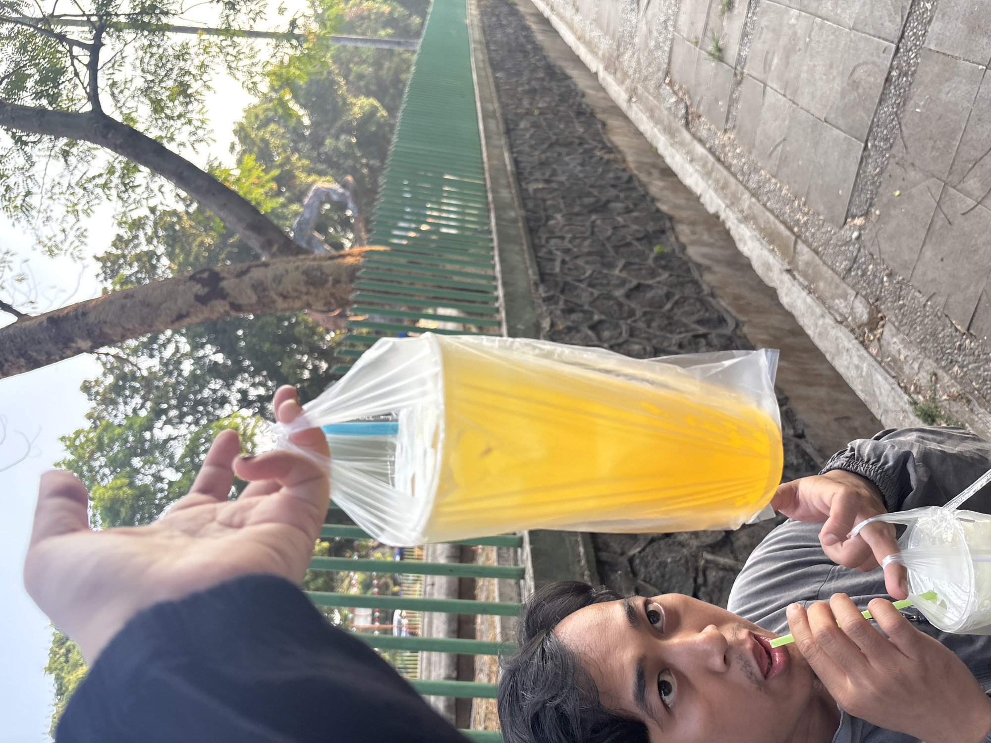 A person's hand holds a plastic bag filled with a yellow beverage, positioned in the foreground of the image. To the left, a man with dark hair and a gray shirt is drinking from a plastic cup using a green straw. He is looking at the camera with an attentive expression. Behind them, a green fence runs along a textured stone wall. The scene appears to be outdoors, with trees and sunlight suggesting it is daytime. The environment resembles a park or street in Cirebon, Indonesia.