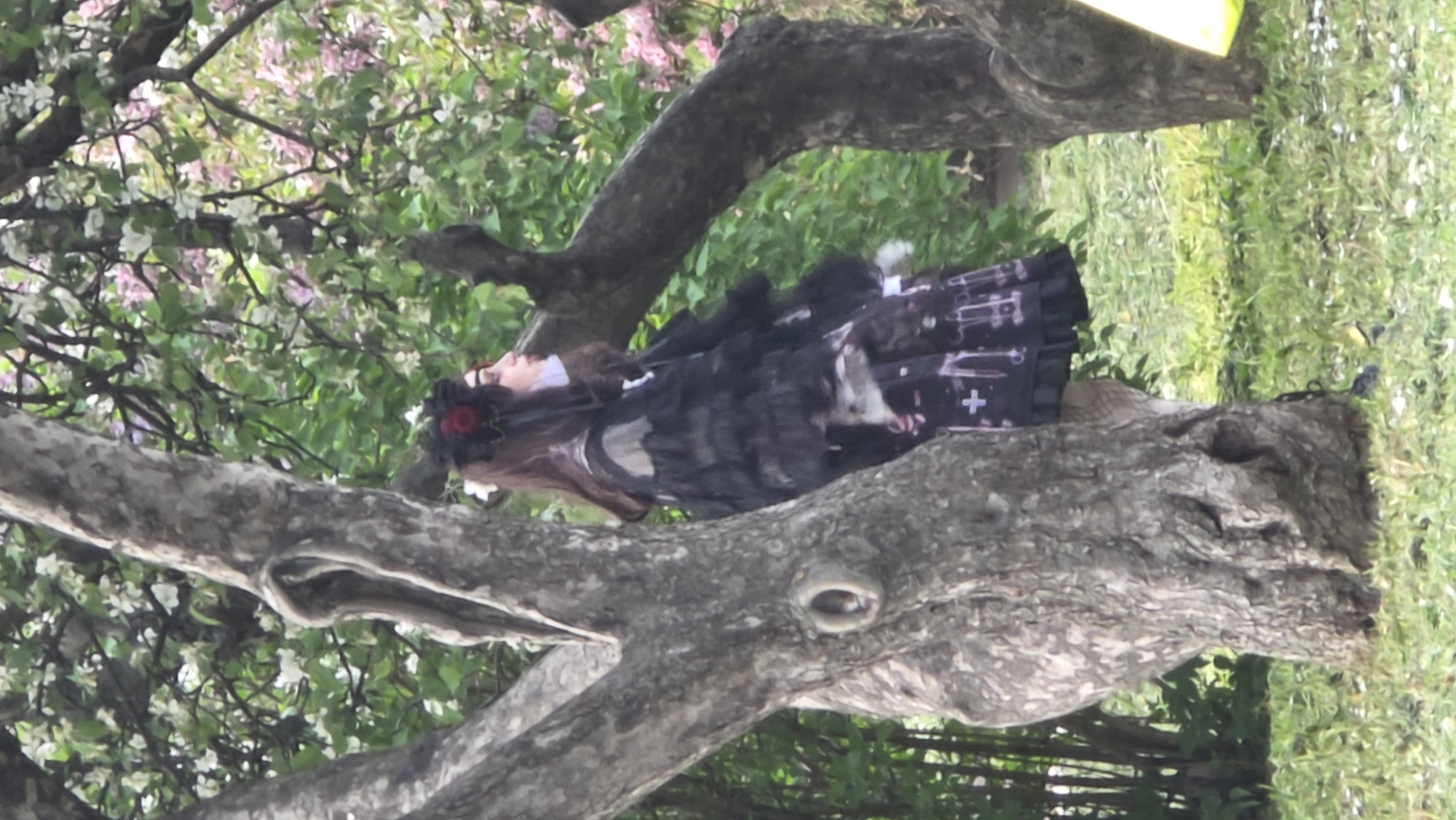A female wearing a dark, gothic-style dress with crosses and ruffles is lying in the crook of a large tree branch. The tree is in full bloom with white and pink flowers. The background shows a grassy area and more trees. Based on the style of dress and trees, and the presence of flowering trees, this photograph may be taken in a park of Saint Petersburg, Russia, possibly during spring.