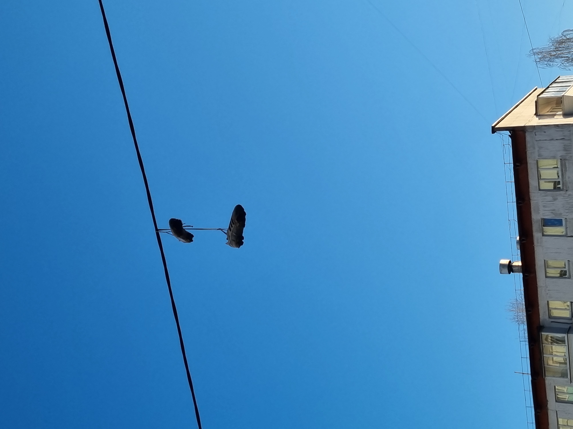 The image captures a clear, upward-looking perspective towards a bright, cloudless blue sky over Chaikovsky, Russia. A thick, dark utility cable stretches diagonally across the frame, from the upper left to the lower right. Suspended from this cable, slightly left of the center, hangs a pair of dark athletic shoes, appearing to be tied by their laces.
On the right side of the composition, a multi-story building is partially visible, appearing vertically oriented within the frame as if the camera was rotated or held at an extreme upward angle. The building features a light-colored facade, possibly concrete or stucco, and numerous rectangular windows that reflect the bright sky. It is topped with a sloping, light-brown or ochre-colored roof, which includes a distinct dormer window or attic structure. A metallic ladder or scaffolding runs up the side of the building, and a silver-colored vent or pipe protrudes from an upper section. Faint, bare tree branches are also visible near the top right edge, close to the building.
The scene suggests a very sunny day with excellent visibility, likely midday or early afternoon given the brightness. No people are visible, and there is no discernible text. The shoes hanging from the power line offer an unusual and quirky detail against the backdrop of the expansive sky and urban infrastructure.
