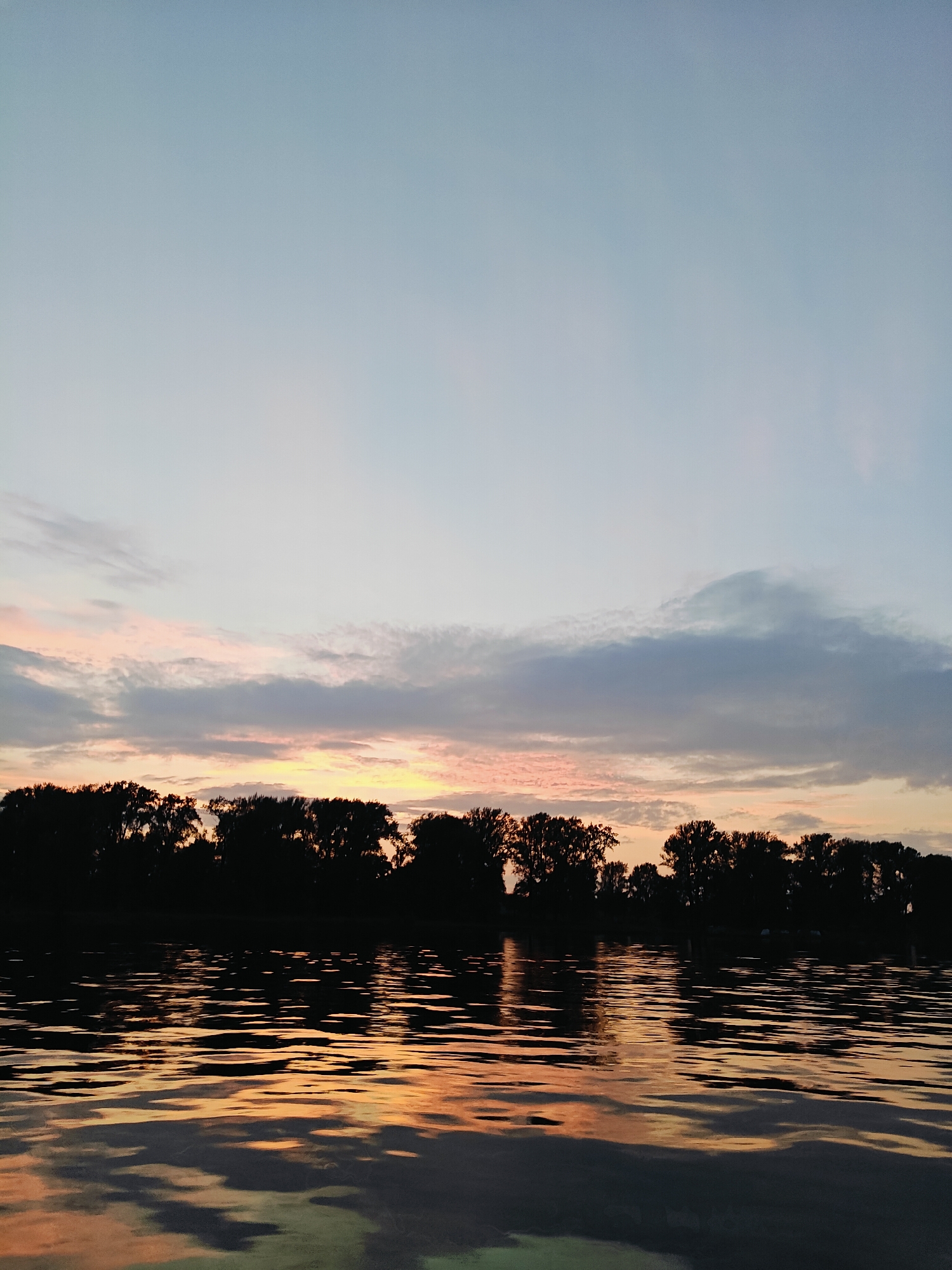 A horizontal, low-angle, silhouette photograph captures a tranquil sunset over a body of water, likely the Volga River in Noviy, Russia. The sky transitions from a pale blue at the top to soft hues of pink, orange, and yellow near the horizon, indicating the sun has recently set. Wispy clouds are scattered across the sky. Along the horizon, a dense line of trees forms a dark silhouette against the colorful sky. The water in the foreground reflects the colors of the sky and the silhouetted trees, creating a shimmering, distorted image. The surface of the water is rippled, suggesting a slight breeze. No people or specific structures are visible. The overall impression is one of serene natural beauty at dusk.