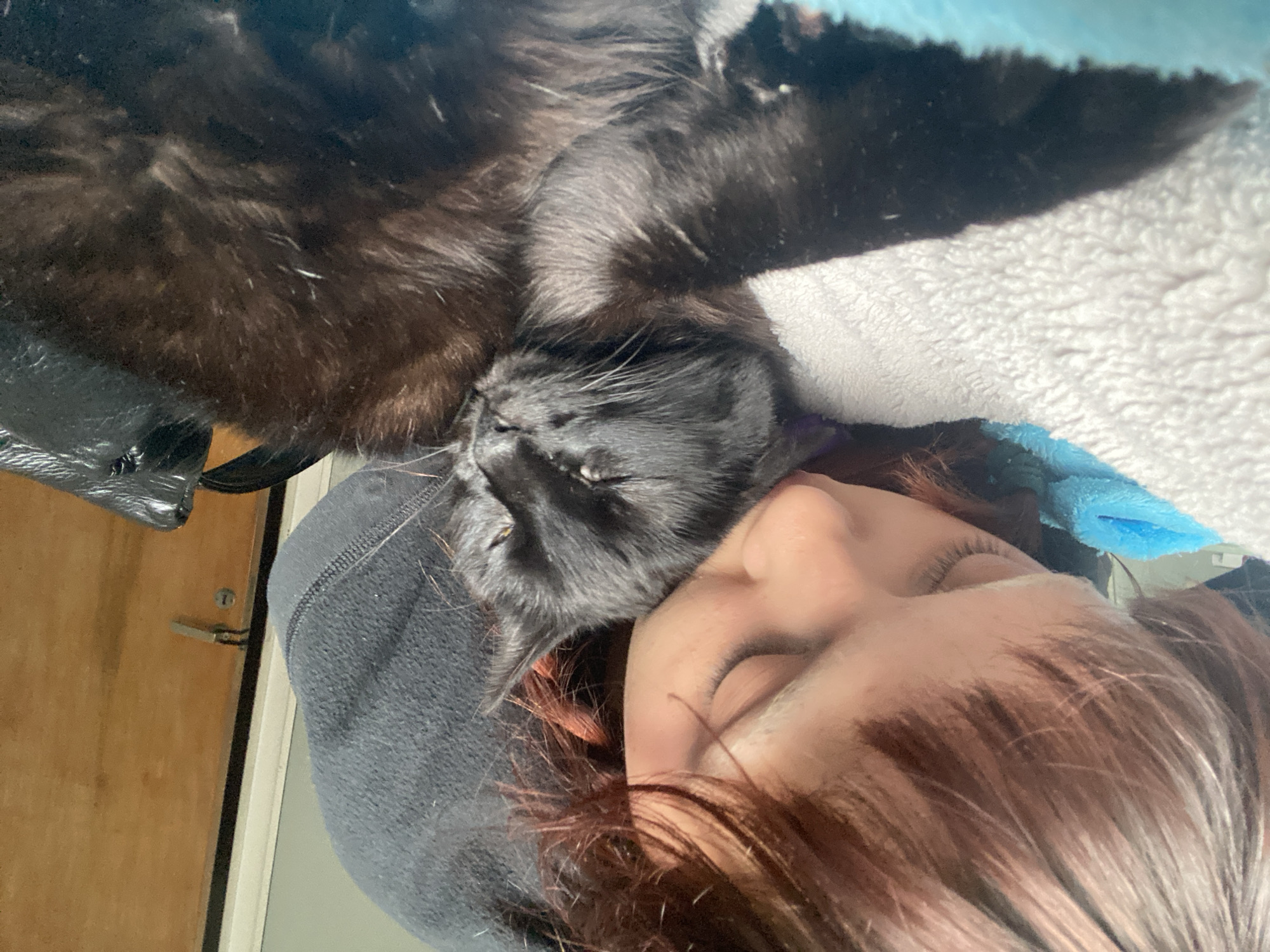A close-up photograph shows a person lying down with a black cat nestled against their face. The person has reddish-brown hair and closed eyes. The black cat is also lying down, its face close to the person's cheek. They appear to be on a fluffy white and blue blanket, with a black object that might be a bag or purse visible to the left. In the background, a light-colored door and doorframe are partially visible. The image is rotated slightly clockwise. There is no information in the image to suggest a location in Buenos Aires, Argentina.