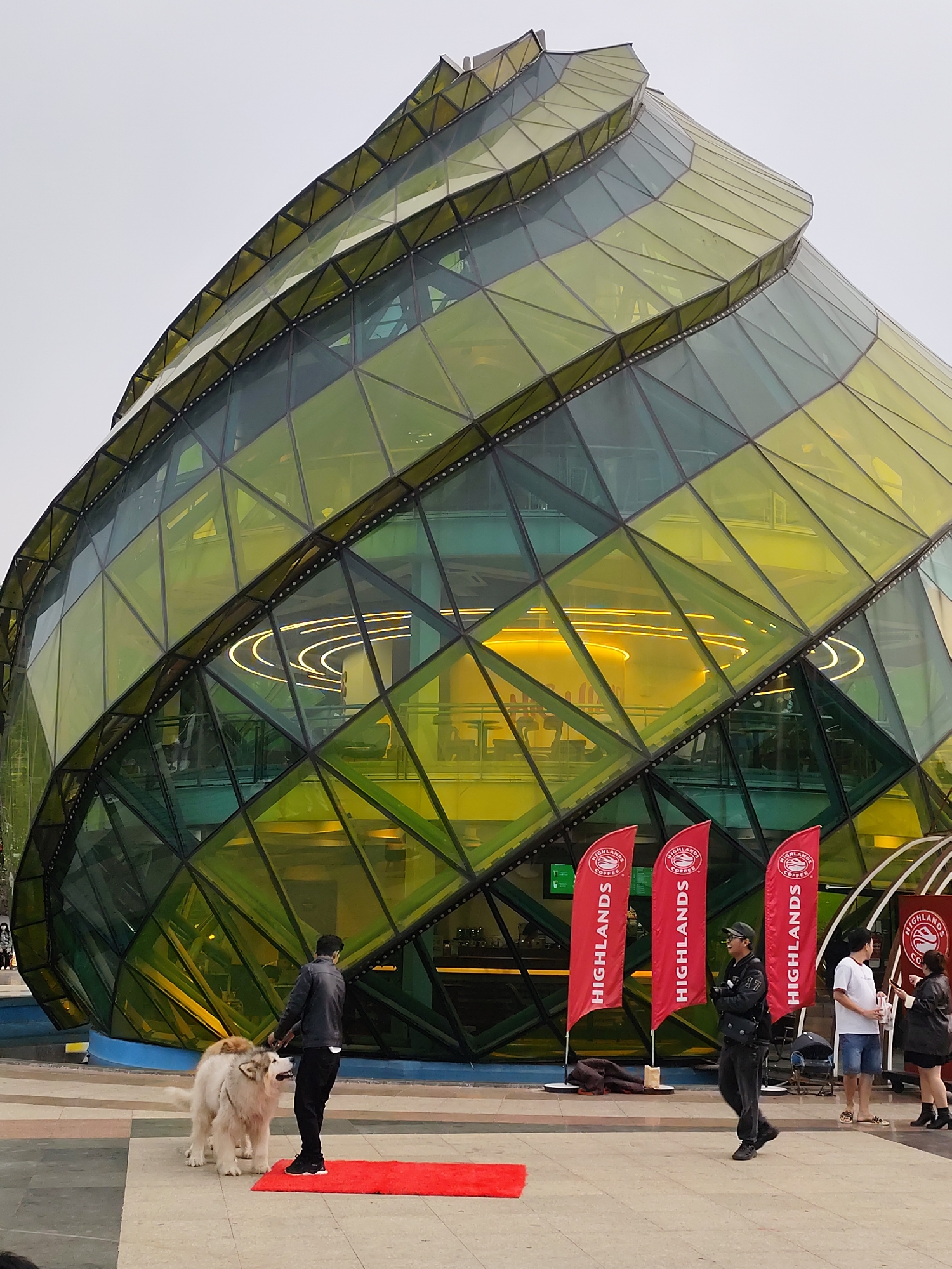 The image displays a modern, unusually shaped building with a vibrant street scene in Da Lat, Vietnam. The building is the dominant feature, characterized by its multi-story, spiraling structure and a facade made entirely of geometric glass panels in shades of green and amber-yellow. These panels create a diamond-like pattern across its curved surfaces, reflecting light and offering glimpses into the brightly lit interior. Inside, warm yellow lights highlight internal, curved architectural elements, suggesting a commercial space like a cafe or restaurant. A blue border or decorative pool runs along the base of the building.
In the foreground, a man in a dark jacket and black pants stands on a red carpet, holding the leashes of two large, fluffy dogs, likely Alaskan Malamutes. The dogs are light-colored, one mostly white, the other with tan markings. To the right, three tall, red vertical flags are prominently displayed, each bearing the white text "HIGHLANDS COFFEE" along with its logo and "HIGHLANDS" written vertically. Several people are near these flags; one man in a dark jacket and cap walks past them, while another man in a white t-shirt and shorts talks with a woman in a black jacket. The ground is a light-colored paved area, typical of an urban plaza.
The sky is bright and overcast, indicating daytime. The presence of the "Highlands Coffee" flags and the building's interior setup strongly suggests a commercial establishment. The scene conveys an active public space with unique architecture and people engaging in casual activity.