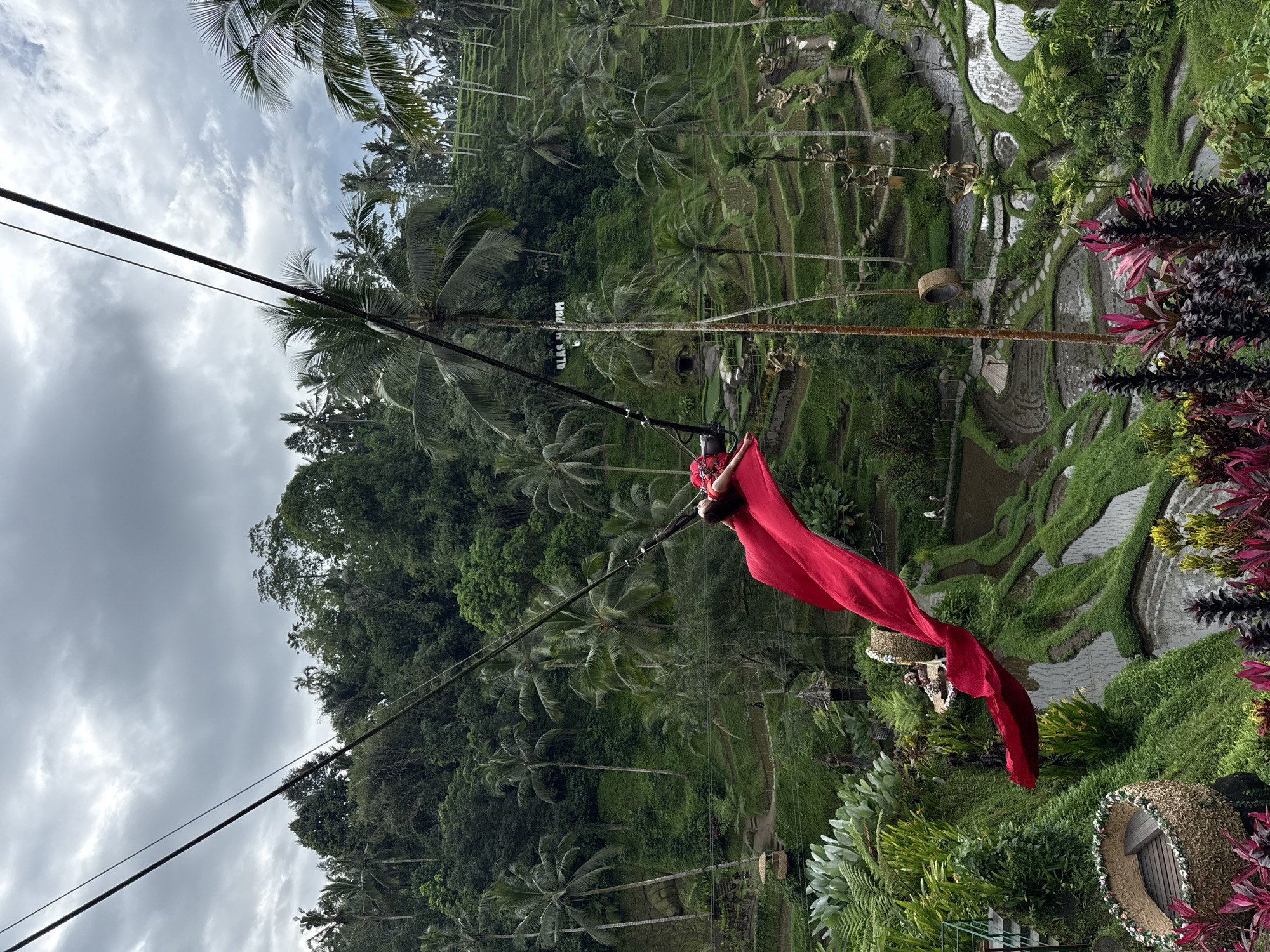 An outdoor, rotated image captures a scenic adventure experience in a tropical landscape under an overcast sky. The central subject is a person, likely a woman, seen from behind, positioned on a large swing. She wears a harness and a long, flowing red dress or fabric that billifies dramatically as she swings, creating a vibrant focal point against the green background.
The setting features extensive terraced rice paddies, characteristic of Tegallalang, Indonesia, which cascade down hillsides in the background. These terraces are interspersed with lush, dense jungle vegetation, including numerous tall palm trees and various tropical plants. In the midground, partially visible through the trees, a white sign with black lettering reads "ALAS HARUM".
The swing apparatus consists of robust black wires and support structures, indicating it is a professional installation. Decorative elements, such as large, round woven baskets adorned with flowers, are visible in the foreground, suggesting a curated visitor experience. The sky is predominantly covered with light grey clouds, suggesting an overcast daytime. The scene conveys a sense of adventure and immersion in a stunning natural environment.