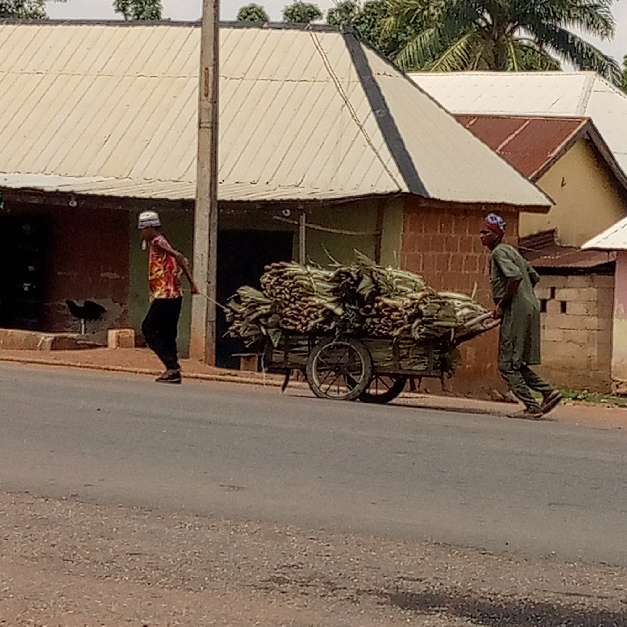 A daytime scene in Unknown, Unknown, shows two men on a road with a cart laden with bundles of corn stalks. One man, wearing a red and yellow patterned shirt, dark pants, and a white head covering, walks ahead of the cart. The other man, clad in a green long-sleeved garment and a patterned head wrap, is pulling the cart. The cart is a two-wheeled wooden structure piled high with the bundled stalks. Buildings with corrugated metal roofs and brick walls line the road in the background. A utility pole stands near the buildings. A single black chicken is visible near the buildings on the left. The road itself is paved but appears worn. The overall impression is of a rural or semi-rural area, with the men engaged in transporting agricultural goods.