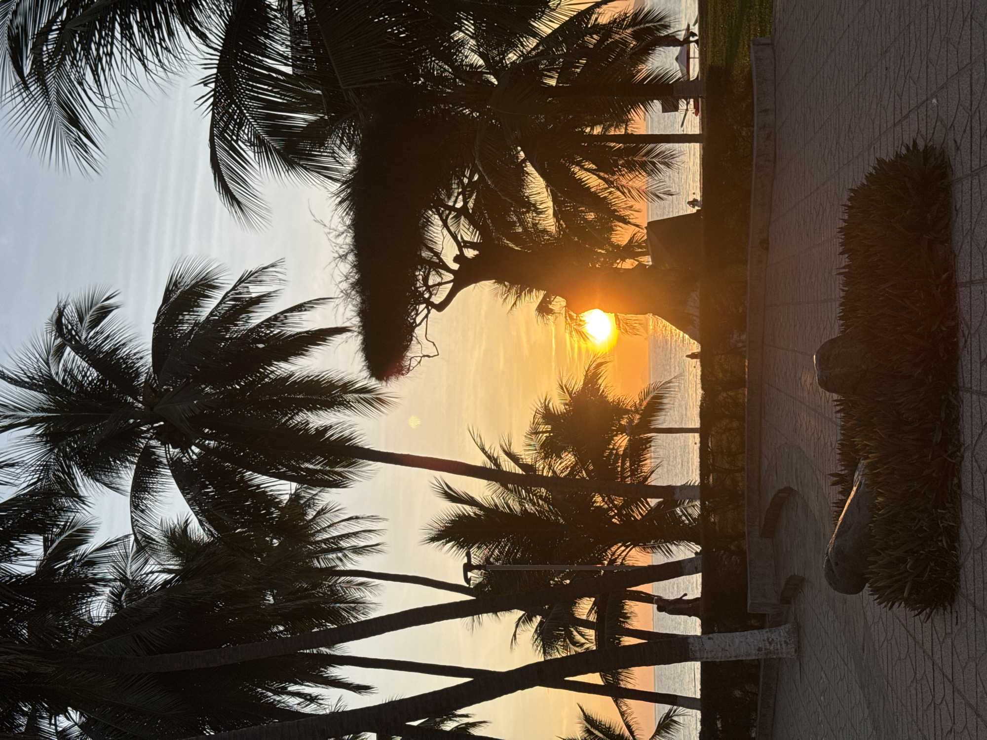 This image depicts a sunset scene in Nha Trang, Vietnam, likely on Tran Phu Beach. The foreground features a paved walkway with dark stone borders and a planter box containing dense, dark green foliage and a large, rough-textured rock. The middle ground reveals a line of silhouetted palm trees separating the walkway from the beach and the sea. The sun, a bright orange orb, is setting just above the horizon, casting a warm glow and creating lens flare. The sky transitions from a pale orange near the horizon to a light greyish-blue overhead, with subtle horizontal cloud formations. The sea is calm and appears dark. In the distance, along the beachfront, a few scattered figures are visible, including what appear to be two people walking near the water's edge, and other individuals near beach chairs and umbrellas. A lamppost is positioned among the palm trees. The overall atmosphere is serene and tropical, characteristic of a coastal city at dusk.