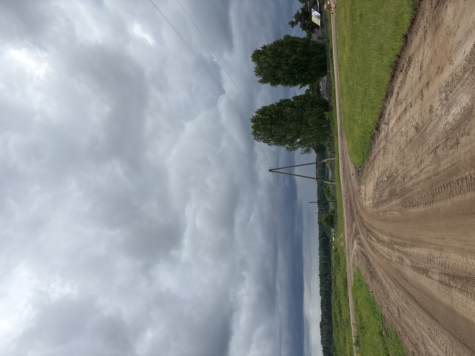 The image depicts a rural dirt road curving through a grassy landscape under a heavily overcast sky. The road, showing tire tracks, leads towards a distant treeline. Two tall, leafy trees stand prominently to the right of the road, with a wooden power pole visible behind them. A small cluster of buildings with a pitched roof can be seen further in the distance on the right. The scene is devoid of people. The environment is natural and undeveloped, suggesting a location outside of a typical urban setting within the city of Kurgan, Russia.
