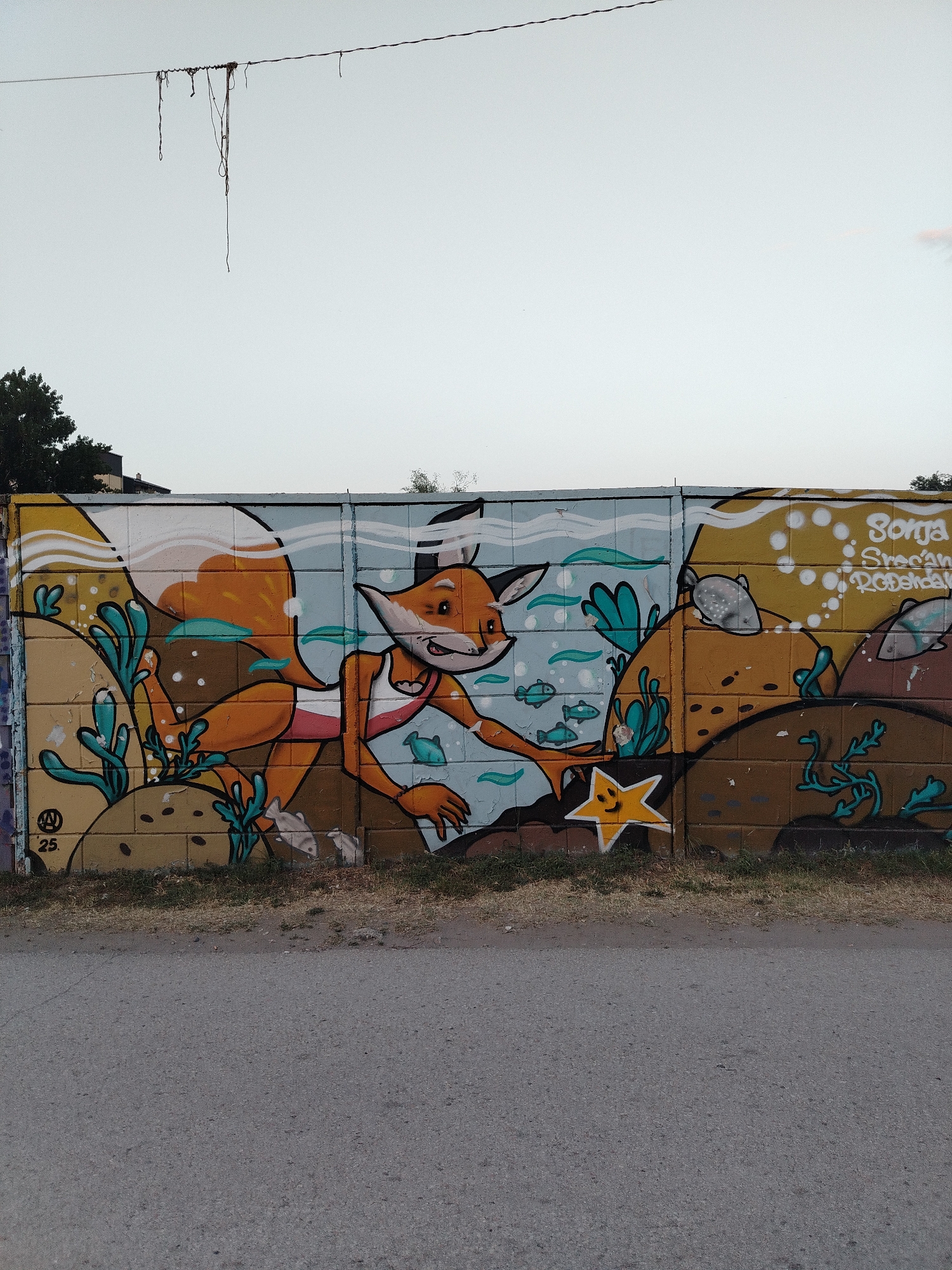 The image shows a colorful mural painted on a concrete block wall in Novi Sad, Serbia. The mural depicts an anthropomorphic fox wearing a pink and white swimsuit, swimming in an underwater scene. The fox is reaching out to a yellow starfish with a smiling face. Various marine elements are present, including blue seaweed-like plants, small fish, and bubbles. The background of the mural transitions from blue water to a yellowish-brown landscape. Text in white spray paint is visible on the right side of the mural, reading "Sonja Srećan Rodendan". On the left side of the mural, there is a logo with the letters "NW" inside a circle, followed by the number "25". The wall is situated next to a paved road, with dry grass and some vegetation growing at its base. The sky above is overcast and pale. A wire with several dangling strands is strung across the top of the frame, a common sight in urban environments. The overall scene is a piece of public art, likely a celebratory mural.