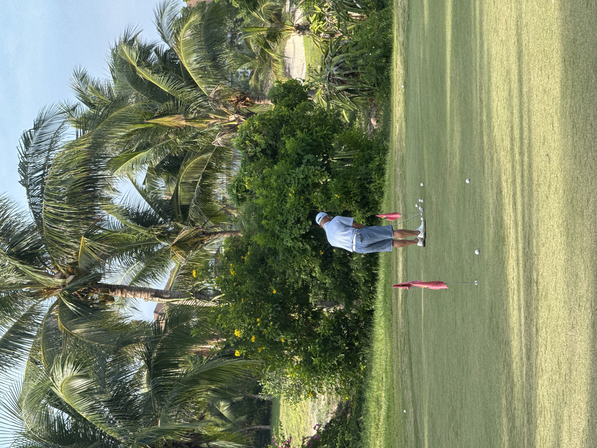 A person is playing golf on a well-maintained golf course in Phu Thuy, Vietnam. The golfer, dressed in a light blue polo shirt and shorts, is focused on hitting a golf ball. Several other golf balls are scattered on the green, some near red flags marking the holes. The course is surrounded by lush greenery, including numerous palm trees, and vibrant yellow flowers. The sky is clear and blue, indicating a sunny day. The overall scene suggests a recreational activity taking place in a tropical or subtropical environment.