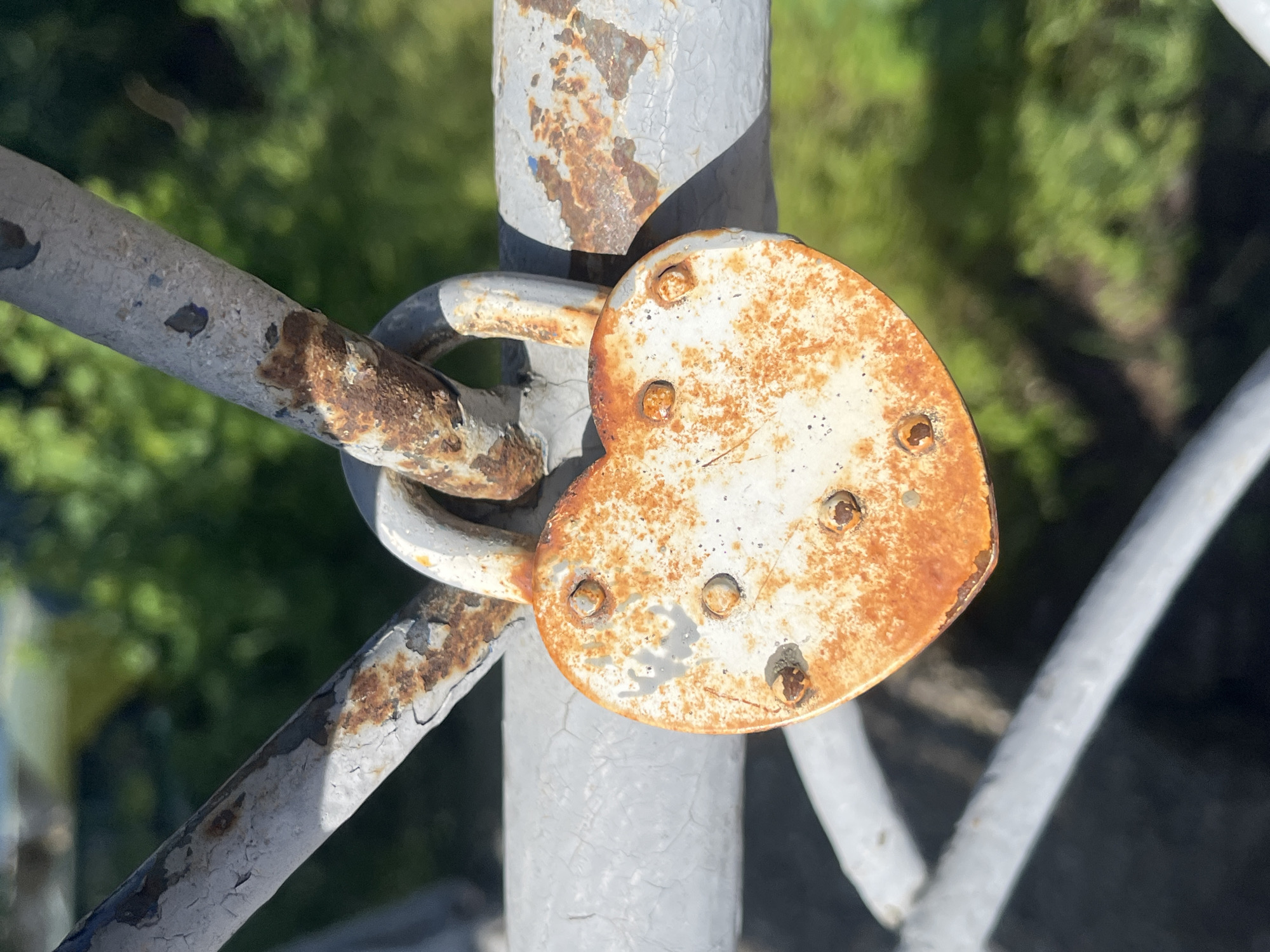 The image shows a rusty, heart-shaped padlock attached to a metal structure, likely part of a bridge or railing. The metal structure is painted a light gray color but has significant rust and peeling paint. The padlock itself is also rusted and appears to be a symbolic love lock. The background is blurred, suggesting an outdoor setting with foliage, and based on the request, it is set in the city of Krasnodar, Russia.