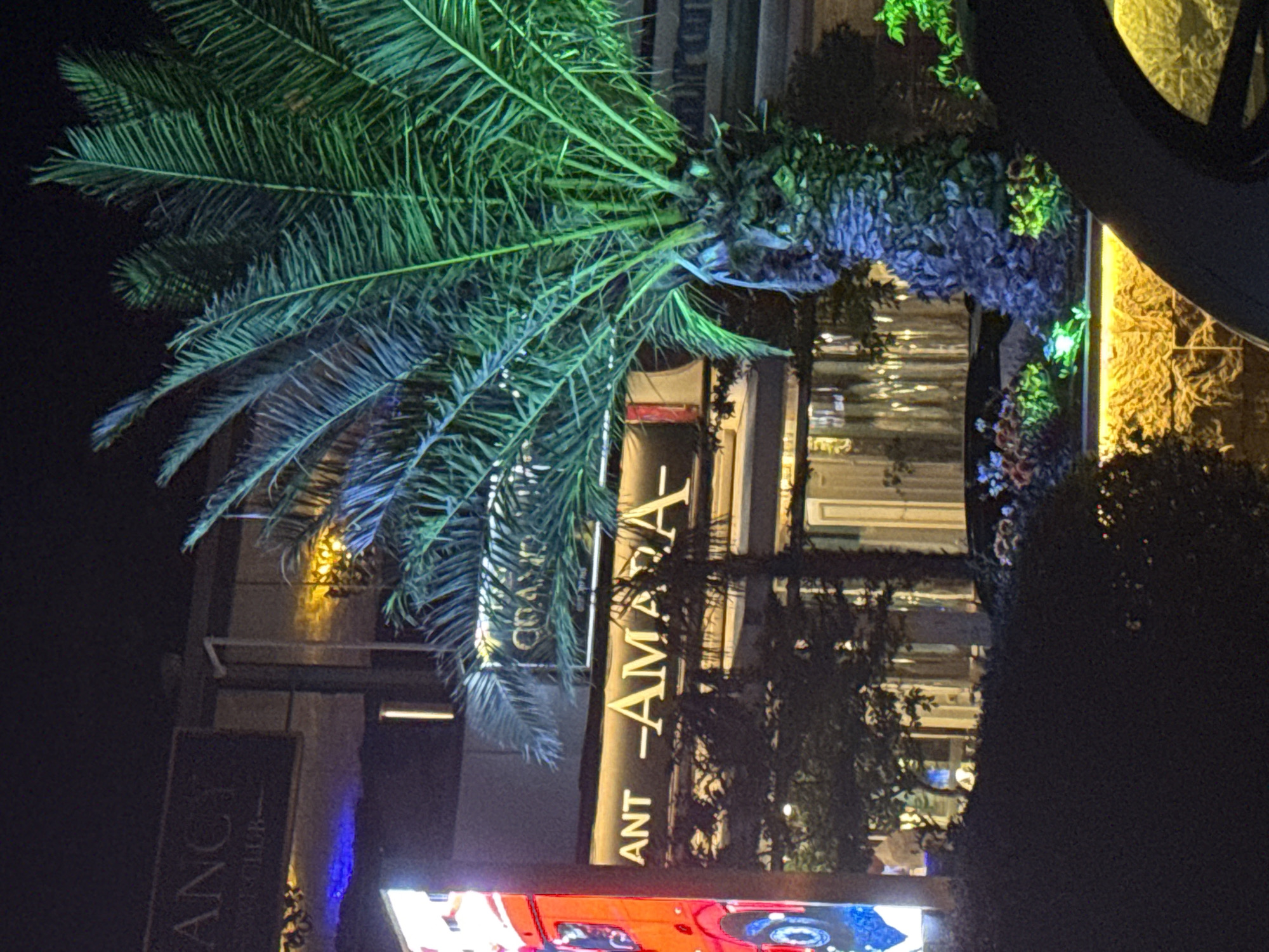 This is a nighttime exterior shot of a building in Sveti Vlas, Bulgaria, likely a restaurant or club. A large palm tree, illuminated with green and blue lights, stands prominently in the foreground, to the right of the frame. The building's facade features illuminated signage, with the words "ANT" and "AMARA" clearly visible in gold lettering. Above this, a darker sign reads "ANCY," and below it, "CH CLUB." The building's windows are lit from within, revealing interior lighting and possibly seating areas. The overall scene suggests a lively, possibly upscale establishment.