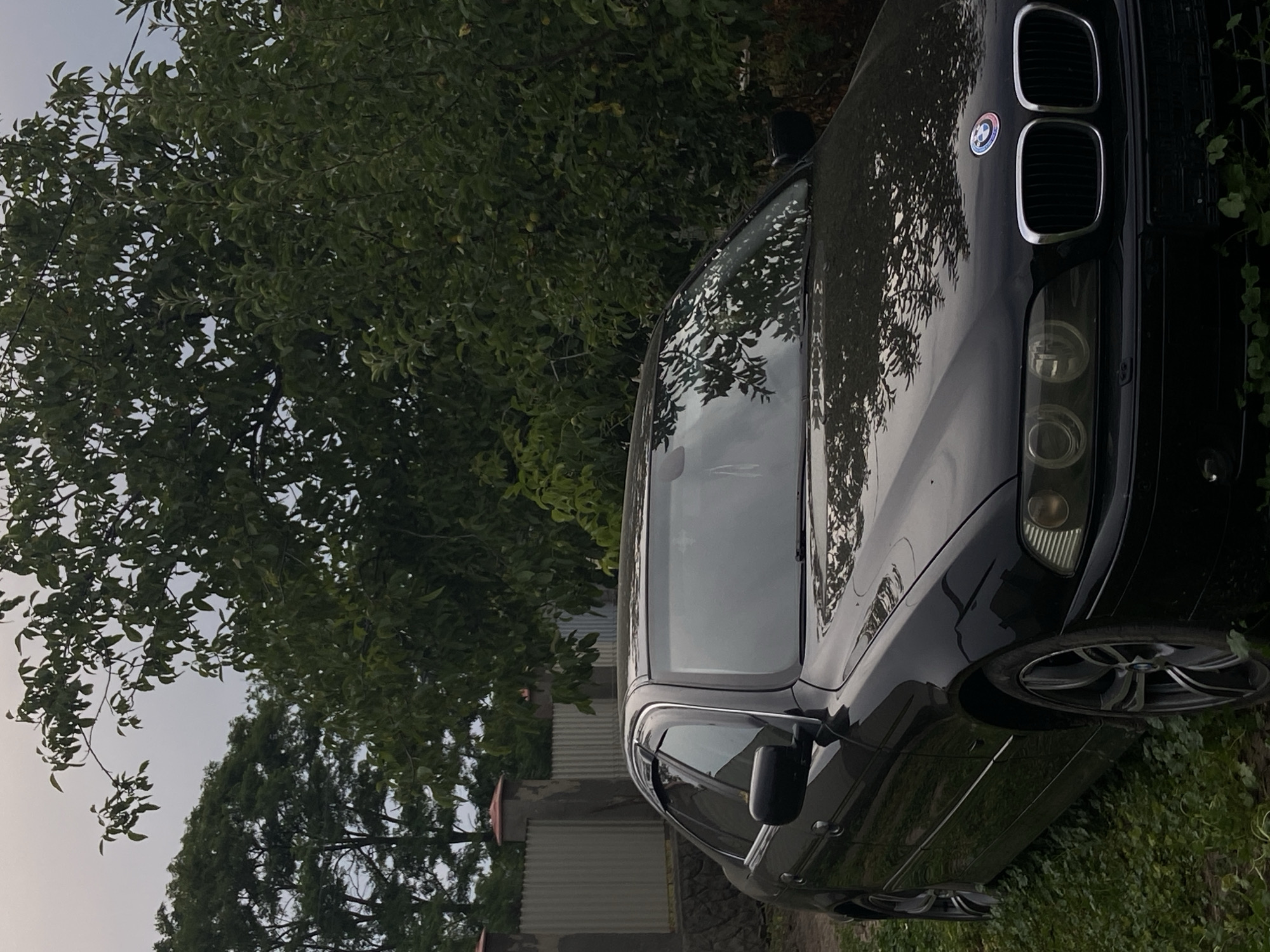 A black BMW sedan is parked on a grassy area next to a stone and corrugated metal fence. The car's hood is visible, reflecting the surrounding trees and sky. The front grille of the car features the BMW logo. In the background, lush green trees create a dense canopy, with the sky appearing overcast. The scene suggests an outdoor setting, possibly a residential area or a rural location.