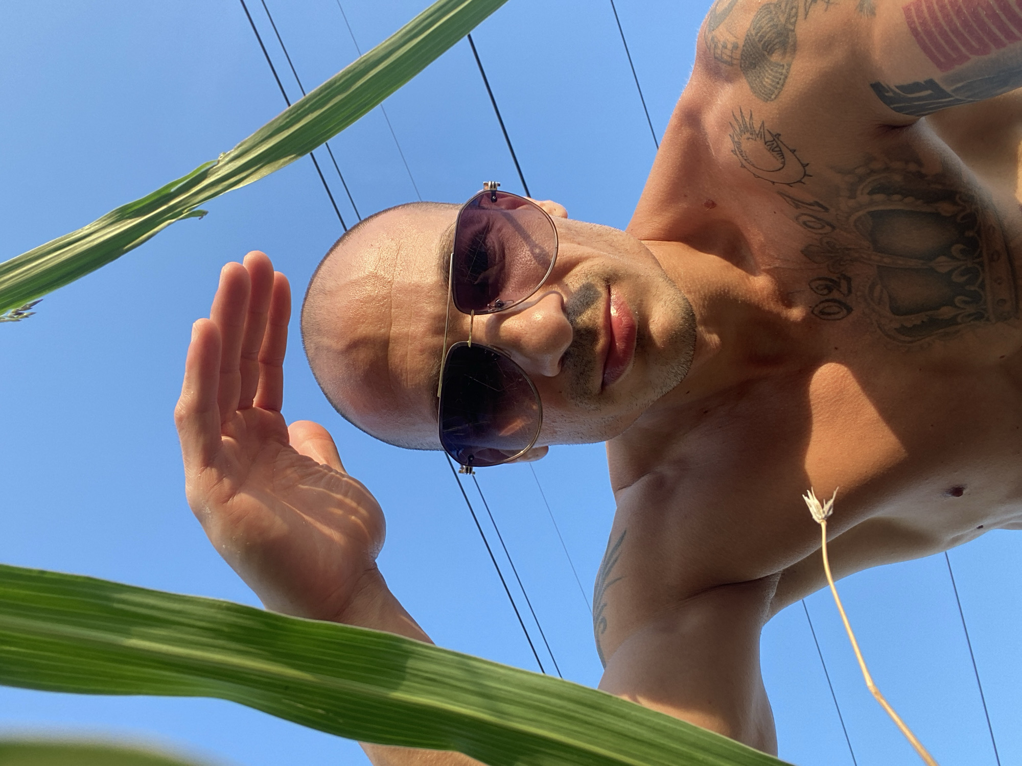 This is a close-up, low-angle, outdoor, selfie-style photograph of a shirtless man with tanned skin, a shaved head, and sunglasses. He is looking towards the camera, with his left hand raised to shield his eyes from the sun. The man has tattoos on his chest, shoulder, and arm. The background consists of a clear blue sky, a few thin electrical wires, and out-of-focus green stalks of a plant on either side of the frame. The lighting suggests it is daytime, likely late afternoon, given the shadows. The presence of electrical wires and the type of foliage suggest an urban or semi-urban environment. Without specific landmarks or context, pinpointing the exact location within Pleven, Bulgaria is not possible from the image alone.