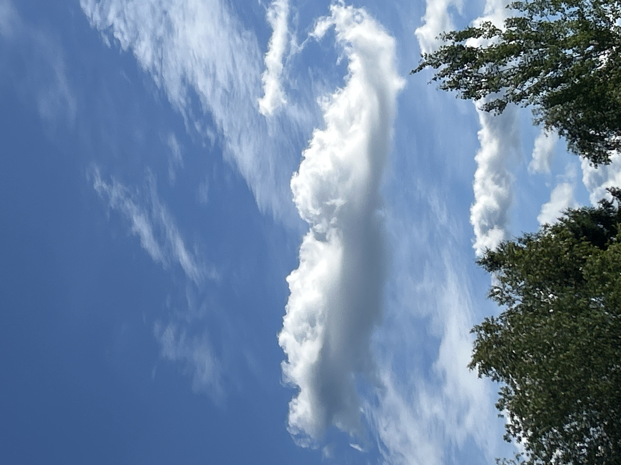 The image depicts a clear blue sky with scattered white clouds. In the foreground, the tops of green trees are visible, suggesting an outdoor setting in a location with vegetation. The lighting indicates it is daytime. The provided location information, "Слава Снт, Russia," specifies a settlement named "Slava SNT" in Russia. The scene is natural and tranquil, with no human presence or specific urban features evident in the frame.