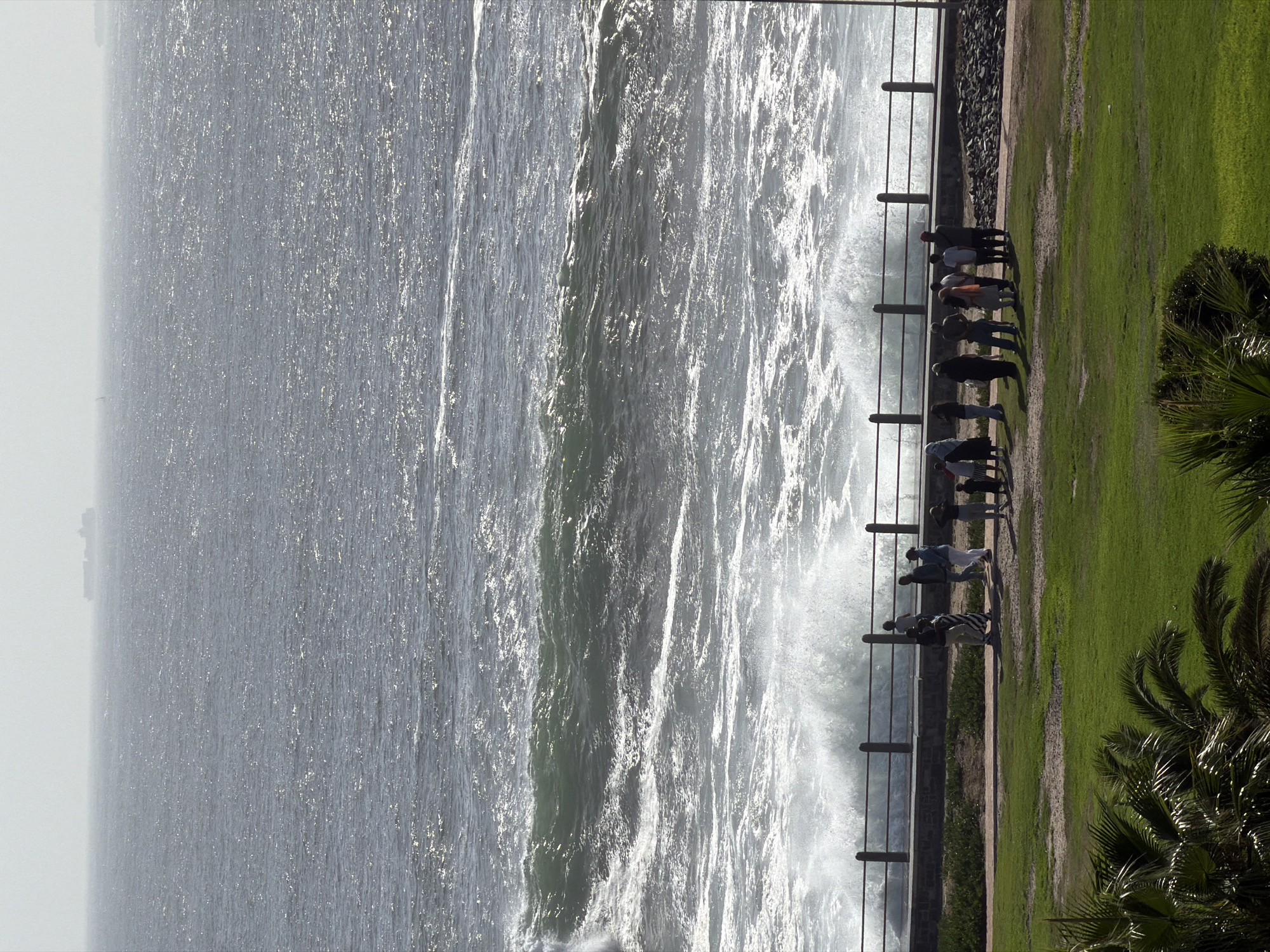 The image shows a scene along the Sea Point Promenade in Cape Town, South Africa. A group of people are standing along a railing overlooking the ocean. The ocean is choppy with white foam and the day is clear. Green grass and palm trees are on the right side of the image.