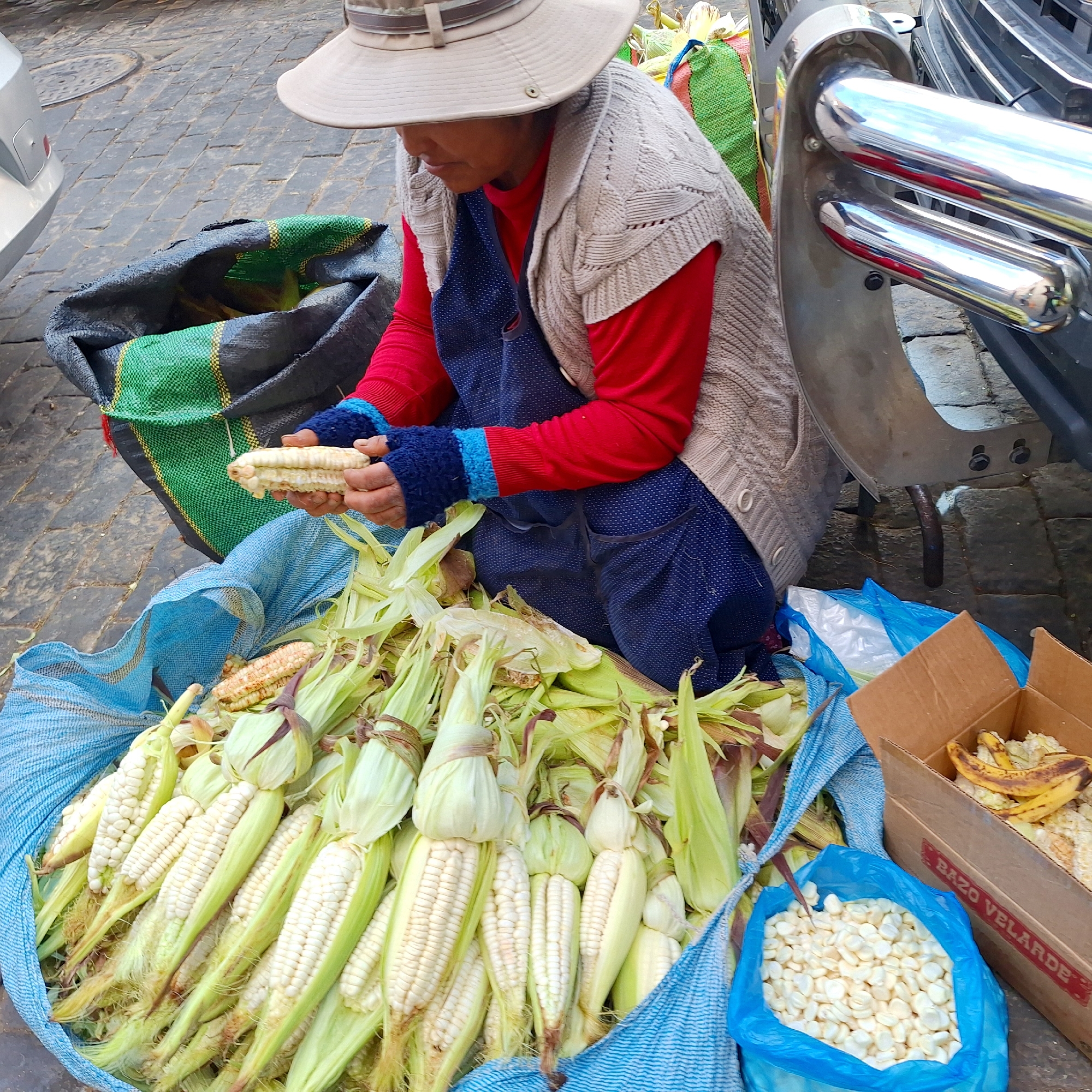 A street vendor wearing a tan hat, a red long-sleeved shirt, a blue apron, and blue striped fingerless gloves is seated on the pavement beside a pile of corn in husks, shucking a cob of white corn in Unknown, Unknown. A large bag filled with the husked corn surrounds her. Another blue plastic bag next to her contains shelled corn. A cardboard box sits next to the blue bag, partially filled with what appears to be corn cobs and some overripe bananas. To the vendor’s left is a green and black striped bag. Behind the vendor is the front of a gray vehicle with a shiny chrome bumper. The vendor is looking down at the corn she is shucking. The ground is paved with gray rectangular blocks.