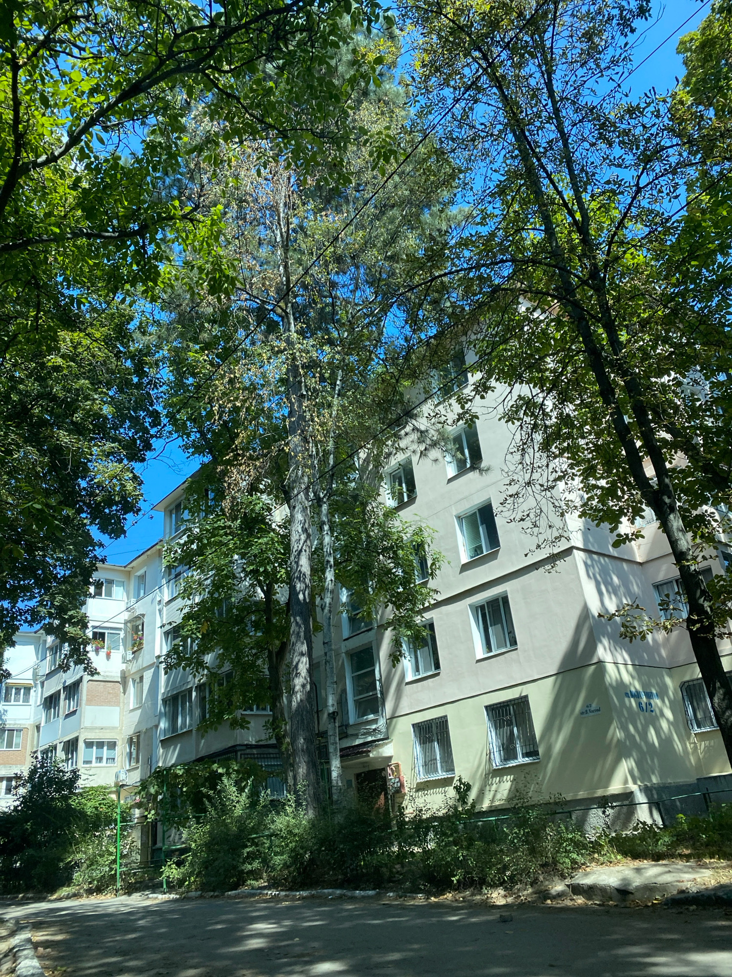 The image shows a residential building in Chișinău, Moldova, with trees in the foreground and surrounding the building. The building is multi-story and appears to be made of concrete and plaster. It has a light-colored facade with multiple windows, some of which have metal bars. The trees are lush and green, with some branches extending over the building and casting shadows on its facade. The sky is clear and blue. The street in front of the building is paved with asphalt and has some vegetation along its edge. The overall impression is one of an urban residential area with significant greenery.