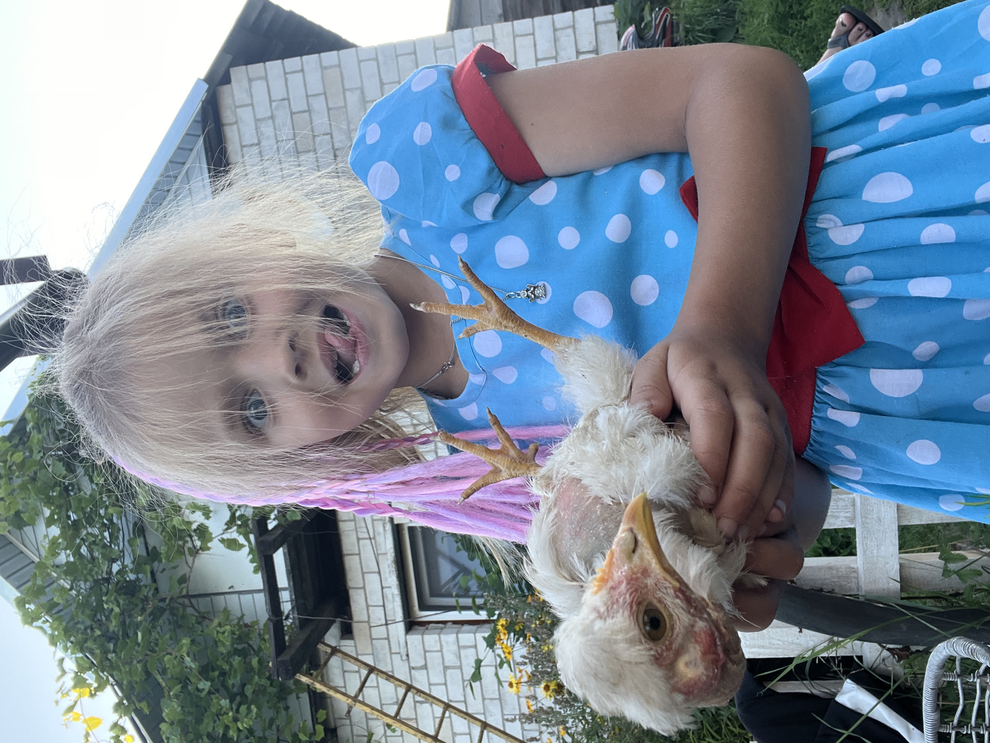 A young girl with blonde hair, some of which is styled in pink braids, stands outdoors holding a white chick. She is wearing a blue polka-dot dress with red trim. The chick is held in her hands, with its legs extended upwards. Behind the girl, a white brick house with a green vine growing on it is visible. There is also a ladder leaning against the house and some yellow flowers in the foreground. The overall scene appears to be in a rural setting, likely a yard or garden, in the village of Dunilavitski Selski Savet, Belarus.