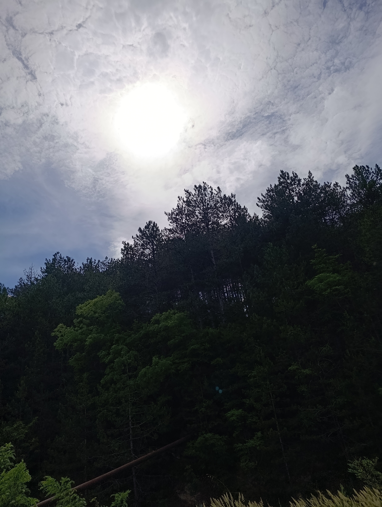 The image depicts a sunlit sky filled with patchy clouds, casting a bright, diffuse light over a dense forest of evergreen trees. The sun is positioned prominently in the upper center of the frame, partially obscured by clouds. The trees form a dark, silhouetted band across the lower portion of the image, with varying shades of green indicating different species and densities of foliage. In the foreground, at the bottom right, a patch of dry grass is visible. The scene is likely a natural landscape, possibly a forest or hillside area. The location provided, Nevestino, Bulgaria, suggests this is a view of the natural surroundings of that area. There are no people or animals visible in the image, and no specific actions or interactions are depicted. The overall impression is one of a bright, cloudy day in a forested environment.