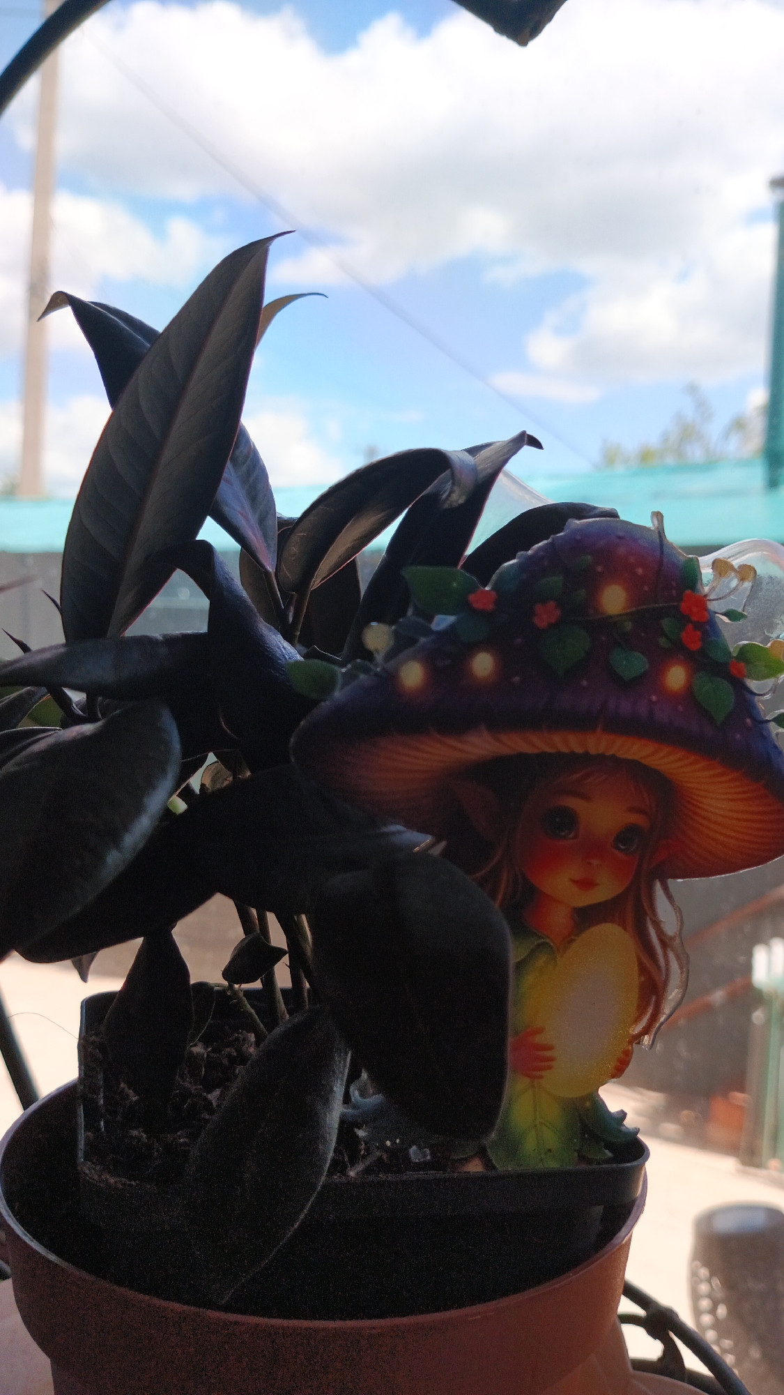 A decorative figurine of a fairy with long, wavy brown hair and large, wide eyes is partially obscured by the dark, glossy leaves of a houseplant. The fairy wears a whimsical purple mushroom hat adorned with glowing lights, small red flowers, and green leaves. She holds a pale yellow, heart-shaped object. The figurine is placed in the pot of the houseplant, which is situated near a window. Outside the window, a bright blue sky with fluffy white clouds is visible, suggesting it is daytime and fair weather. The setting appears to be indoors, near a window, possibly a home or a greenhouse in Kryvyi Rih, Ukraine. The lighting suggests natural daylight, casting soft shadows on the fairy and the plant. There is no visible text in the image.