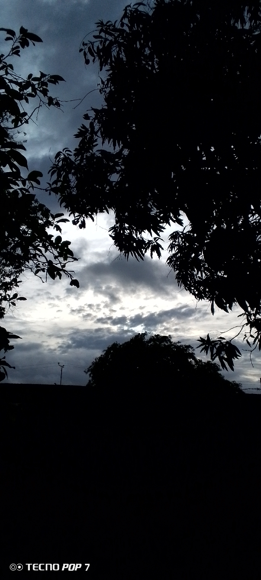 The image depicts a silhouetted view of trees against a cloudy sky, taken from Altagracia, Venezuela. The foreground is dominated by the dark silhouettes of tree branches and leaves framing the sky. The sky itself is filled with dramatic, overcast clouds, with patches of lighter sky visible through breaks. In the middle ground, a low, dark silhouette suggests more foliage or possibly a building. Further back, a utility pole is visible, a common urban fixture. The overall impression is one of a twilight or stormy atmosphere in an outdoor setting within the city. The bottom of the image contains a watermark reading "TECNO POP 7".