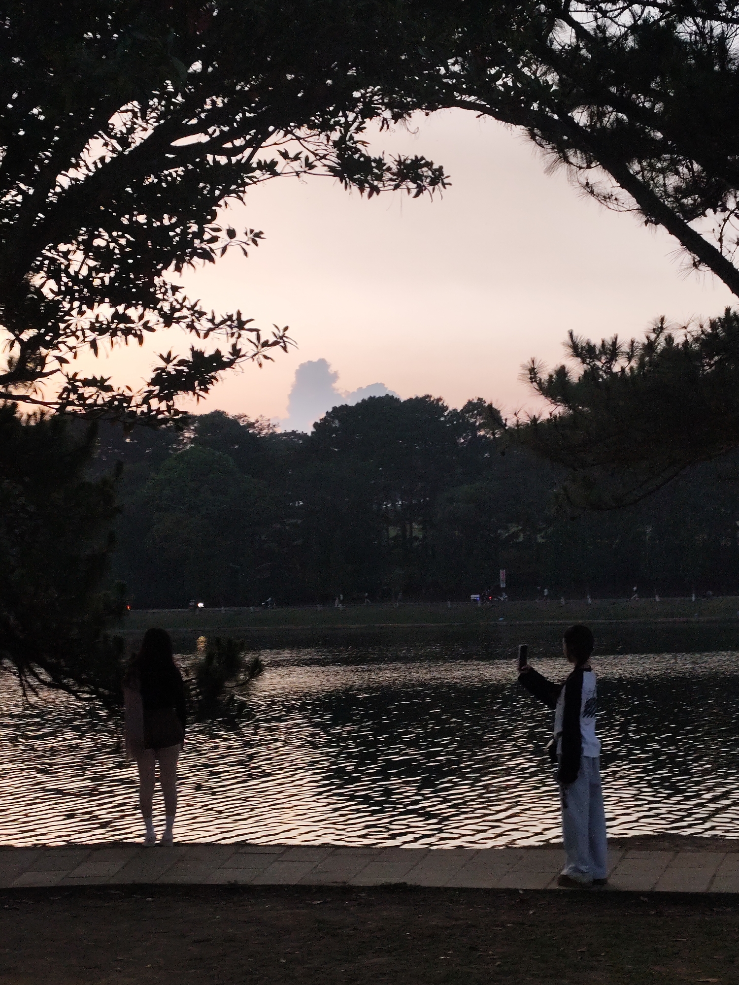The image shows a twilight scene at Xuan Huong Lake in Da Lat, Vietnam. Silhouetted trees frame the upper portion of the image, revealing a pink and orange sky with a single cumulus cloud. Below, the dark water of the lake reflects the sky. Two individuals stand on the concrete bank of the lake. On the left, a female is standing facing the lake. On the right, a male is holding a mobile phone. In the background, across the lake, trees border the far side, with faint lights visible, suggesting urban activity.