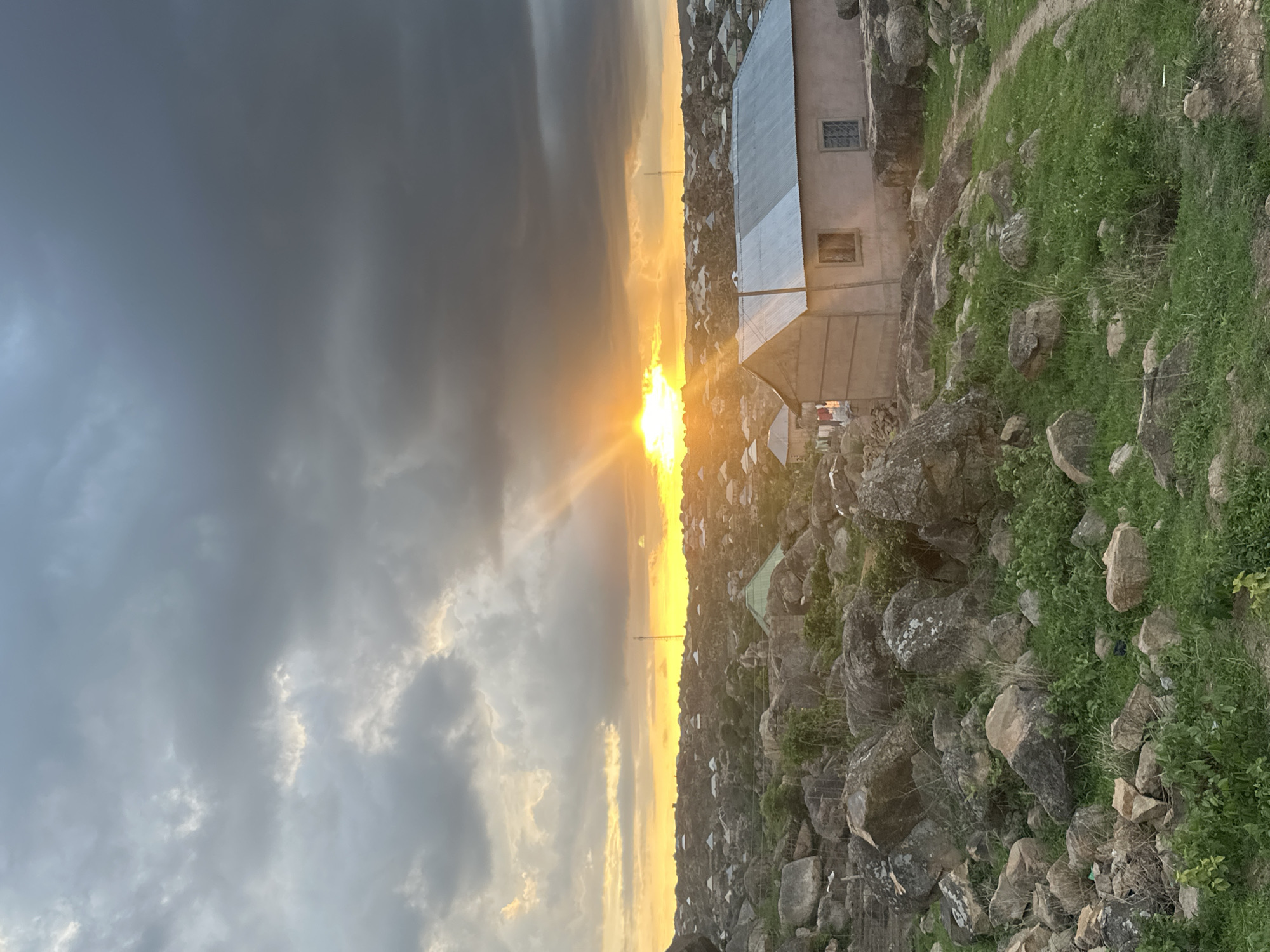This image depicts a rugged, rocky landscape at sunset in the city of Jos, Nigeria. The scene is dominated by a dramatic sky with dark, heavy clouds partially illuminated by the setting sun, which emits a strong golden burst of light from the left side of the frame.
The foreground and midground feature numerous large, weathered rock formations scattered across grassy terrain. Patches of green vegetation, including small plants and grass, grow amidst the rocks and along a visible dirt path that winds through the lower right quadrant of the image.
In the midground, a light-colored, single-story building with a corrugated metal roof is prominently visible. It has two rectangular windows, one with a darker frame and another with a patterned security grille. To the left of this building, other smaller structures with similar roofing are partially visible. Further into the distance, a sprawling settlement extends across the rocky hills, characterized by numerous houses with light-colored or metallic roofs, suggesting a dense residential area integrated with the natural rock formations. A tall, slender cell tower is visible rising above the distant horizon line towards the center-right.
No individuals are visible in the image. The overall impression is one of a populated area built directly into and around a distinctive rocky environment, bathed in the warm, intense glow of the sunset against a turbulent sky.