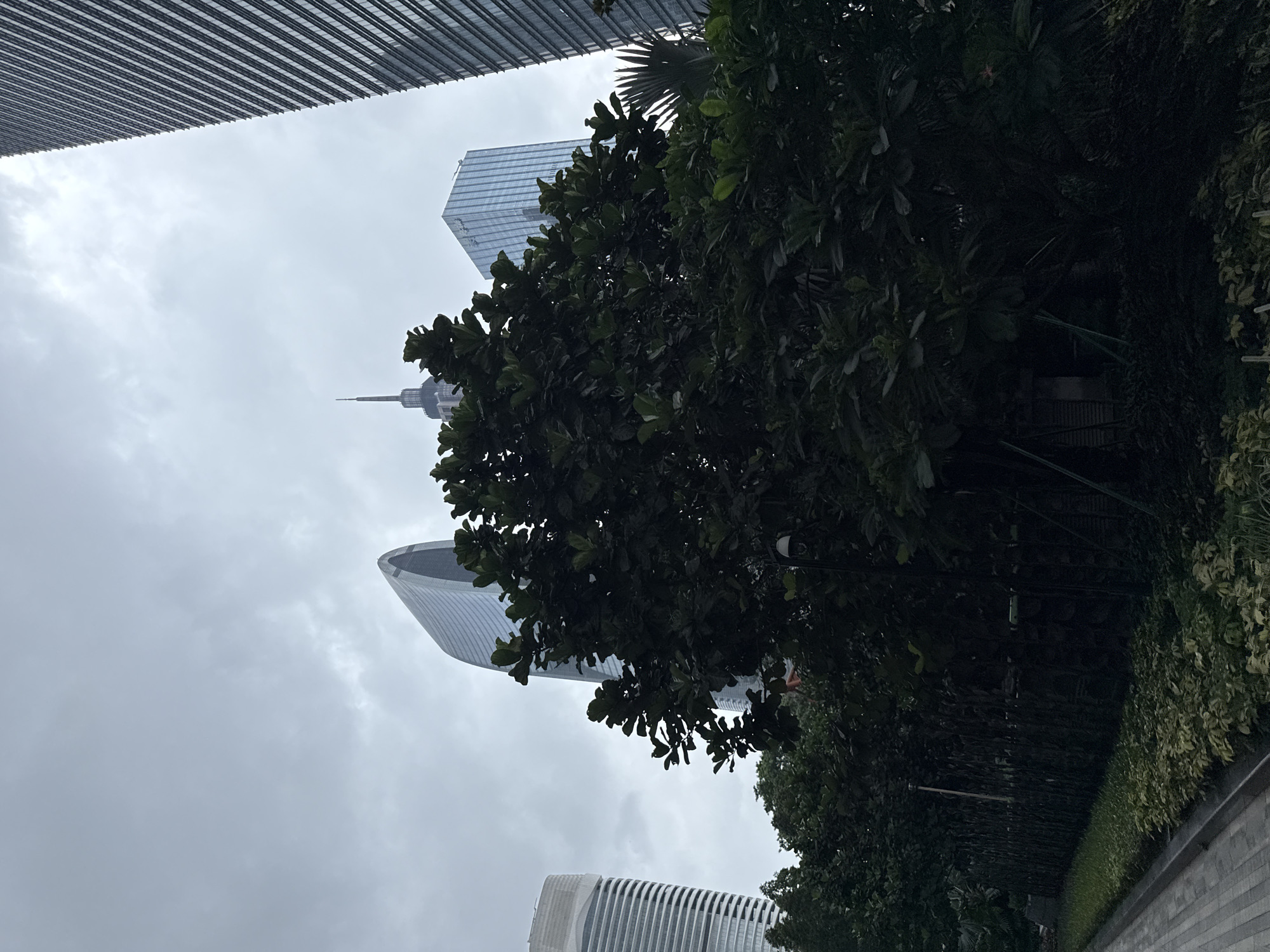 The image captures a street-level view of modern skyscrapers in Tianhe District, China, under an overcast sky. In the foreground, lush green trees and foliage create a dense canopy, partially obscuring the lower portions of the buildings. A paved walkway runs along the left side of the image, bordered by manicured greenery and low-lying plants.
Several distinct skyscrapers are visible. To the left, a white, cylindrical building with horizontal banding is partially visible. Adjacent to it, and slightly further back, is a tall, curved skyscraper with a smooth, reflective facade. In the center, a dark green tree dominates the foreground, its leaves obscuring much of the scene behind it. Behind the tree, a slender, pointed spire rises from a dark building, suggesting a more traditional architectural style. To the right of the spire, a rectangular skyscraper with a glass facade is visible. Further to the right, a tall, thin skyscraper with a textured, ribbed facade looms, its dark color contrasting with the lighter hues of the sky. A palm-like frond can be seen peeking out from behind the foliage on the right side of the image.
The overall impression is one of a contemporary urban environment where nature is integrated into the cityscape, with a slightly muted palette due to the cloudy weather.