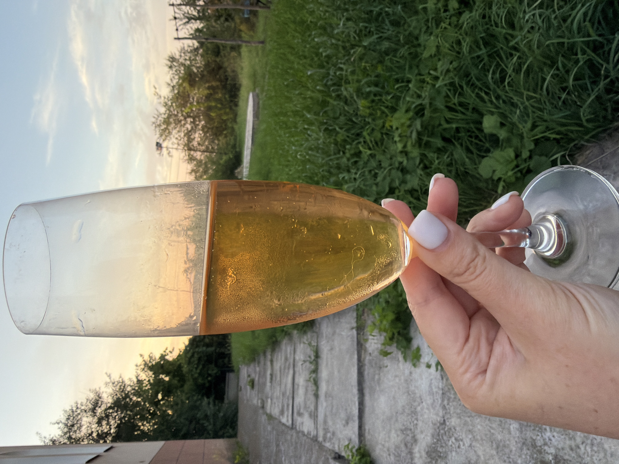 A first-person perspective shot shows a woman's hand holding a champagne flute filled with a golden, bubbly beverage. The glass is partially filled, and condensation is visible on the exterior. The background depicts a slightly overgrown green yard with trees and a cloudy sky at dusk. A concrete walkway is visible to the left, adjacent to a building. The location is identified as Lozuvatka, Ukraine.