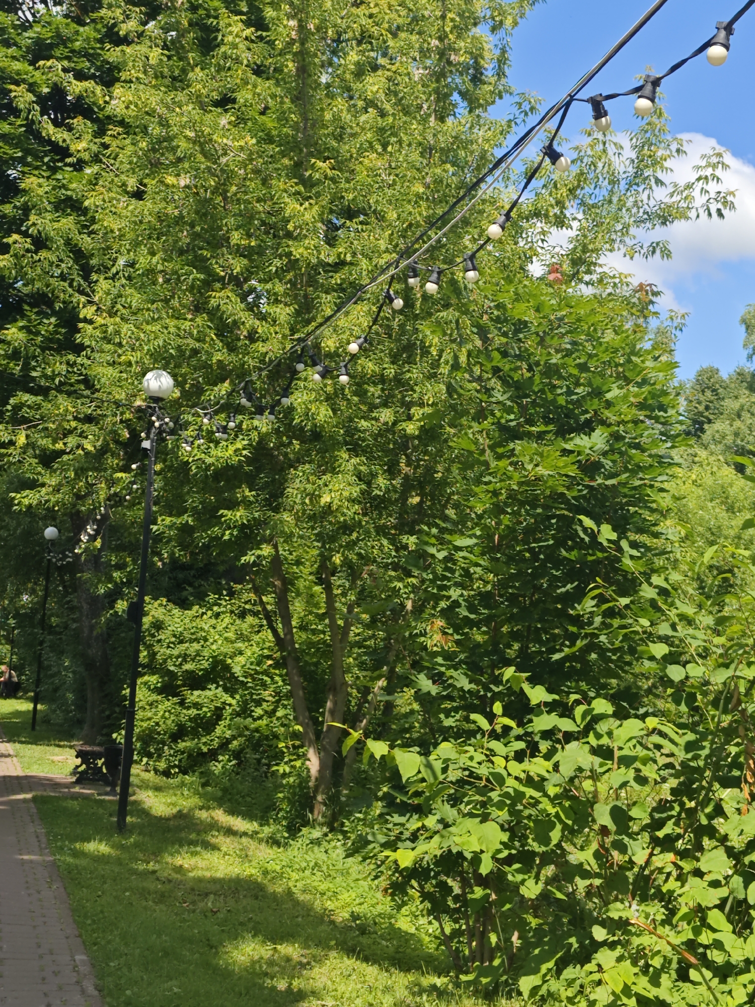 The image depicts a paved walkway curving to the left, bordered by a grassy area and dense green foliage. A tall black lamppost with a white globe light stands on the right side of the walkway, accompanied by a decorative bench further down. Overhead, a string of decorative lights with white bulbs is suspended between trees. The background consists of lush trees and a bright blue sky with scattered white clouds. The scene appears to be a park or a public outdoor area in the city of Chekhov, Russia, likely during the daytime.