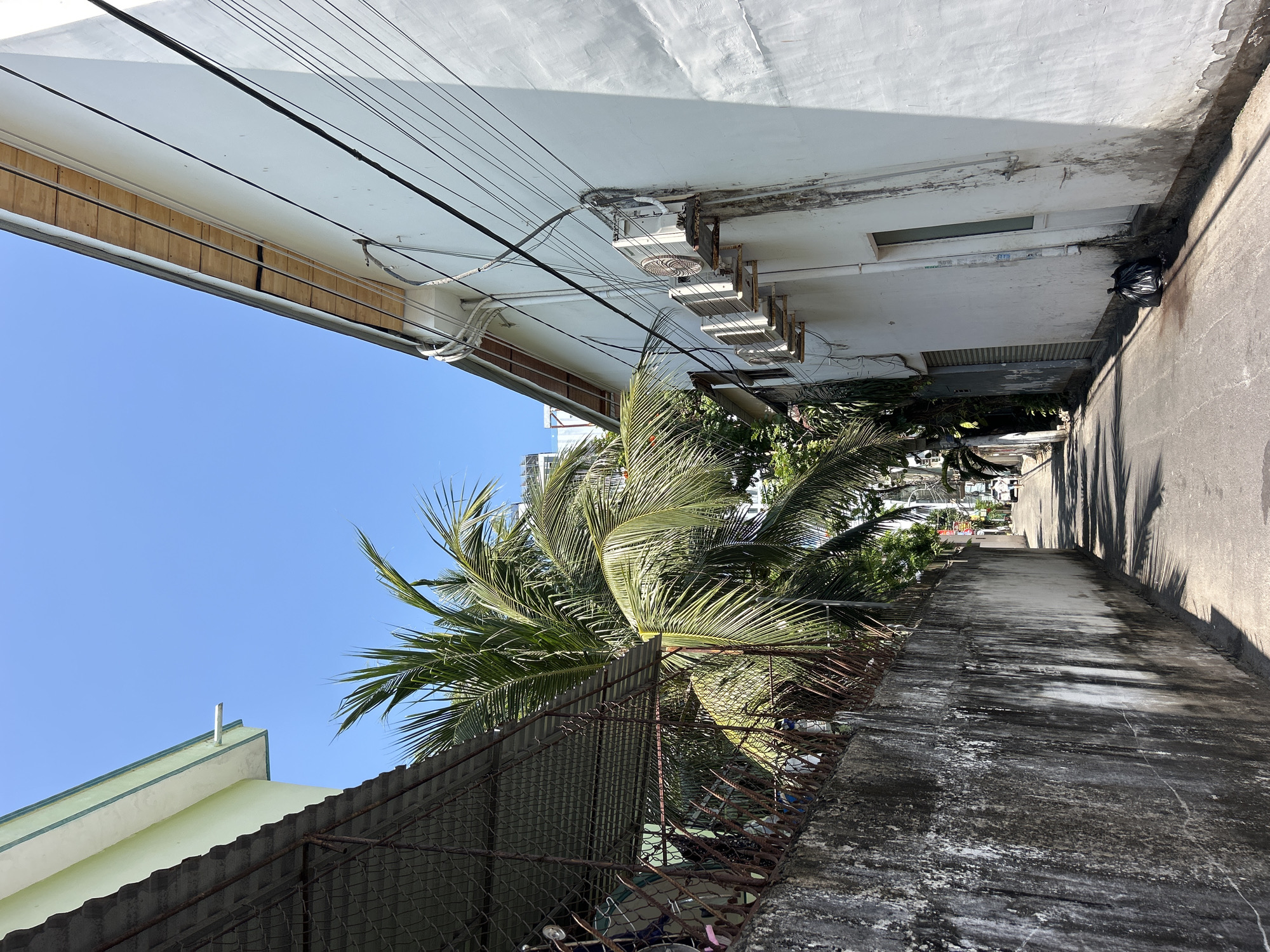 A narrow alleyway in Bắc Nha Trang, Vietnam, is framed by a tall, weathered concrete wall on the right and the side of a building on the left. Overhead, a dense network of electrical wires crisscrosses above. A large palm tree partially obscures the view down the alley, with its fronds reaching out over a rusty chain-link fence. Trash and debris accumulate at the base of the fence. The building on the left has several air conditioning units mounted along its wall, and a black trash bag sits at the edge of the alleyway against the wall. The alley itself is cracked and stained, showing signs of age and neglect. The sky above is clear and blue.