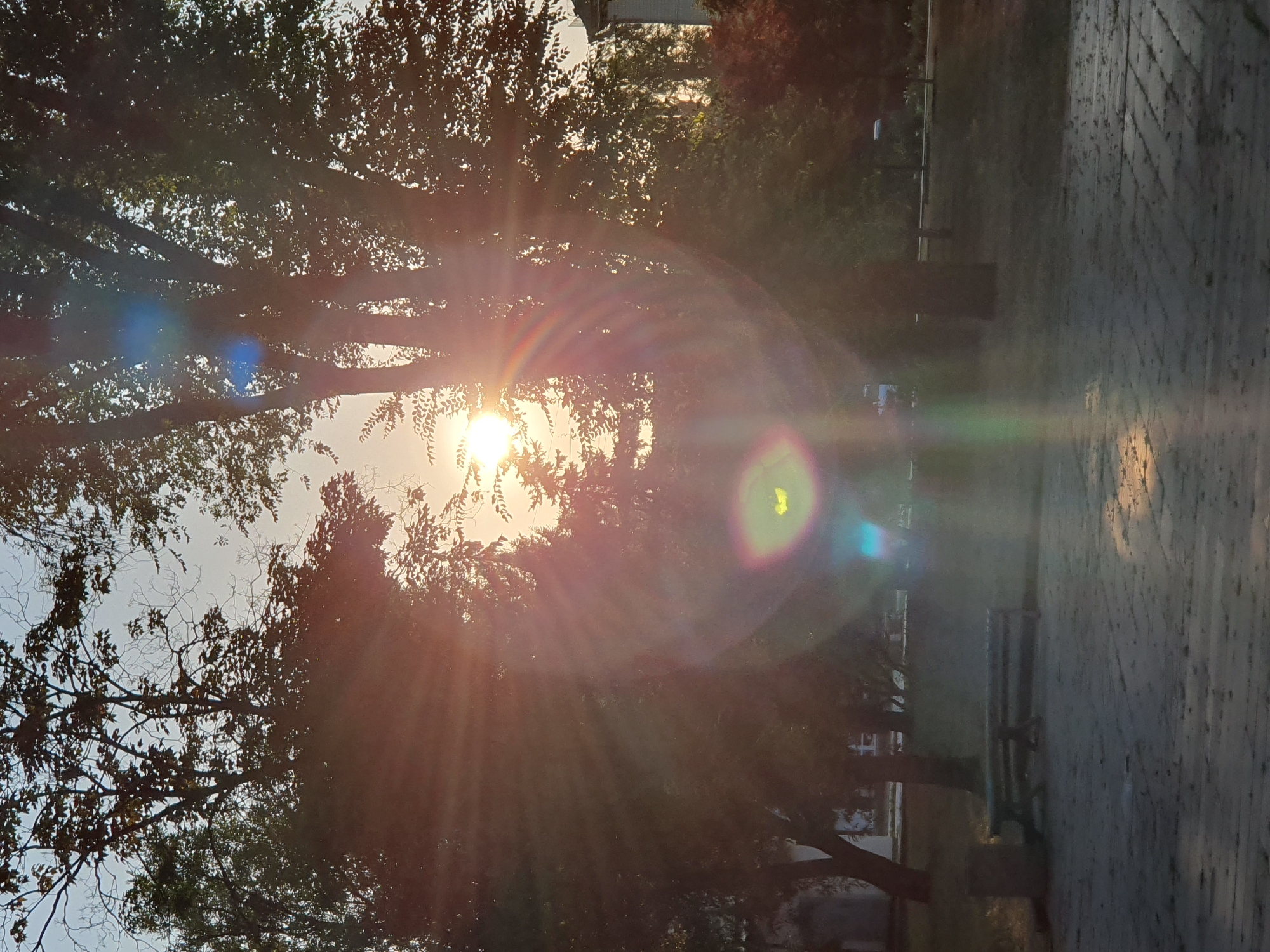 The image depicts a sun-drenched park scene. The sun is positioned in the upper center of the frame, peeking through the dense foliage of several large trees, creating dramatic sunbursts and lens flares that cast a warm, orange and yellow glow across the image. The sun's rays are visible as distinct lines radiating outward. The foreground consists of a paved area made of interlocking bricks, with some debris scattered on the surface. To the left of the frame, there is a simple park bench with a trash receptacle nearby. The background shows more trees and a hint of buildings to the far right, suggesting an urban park setting. The overall atmosphere is one of a bright, possibly late afternoon or early morning, outdoor environment.
