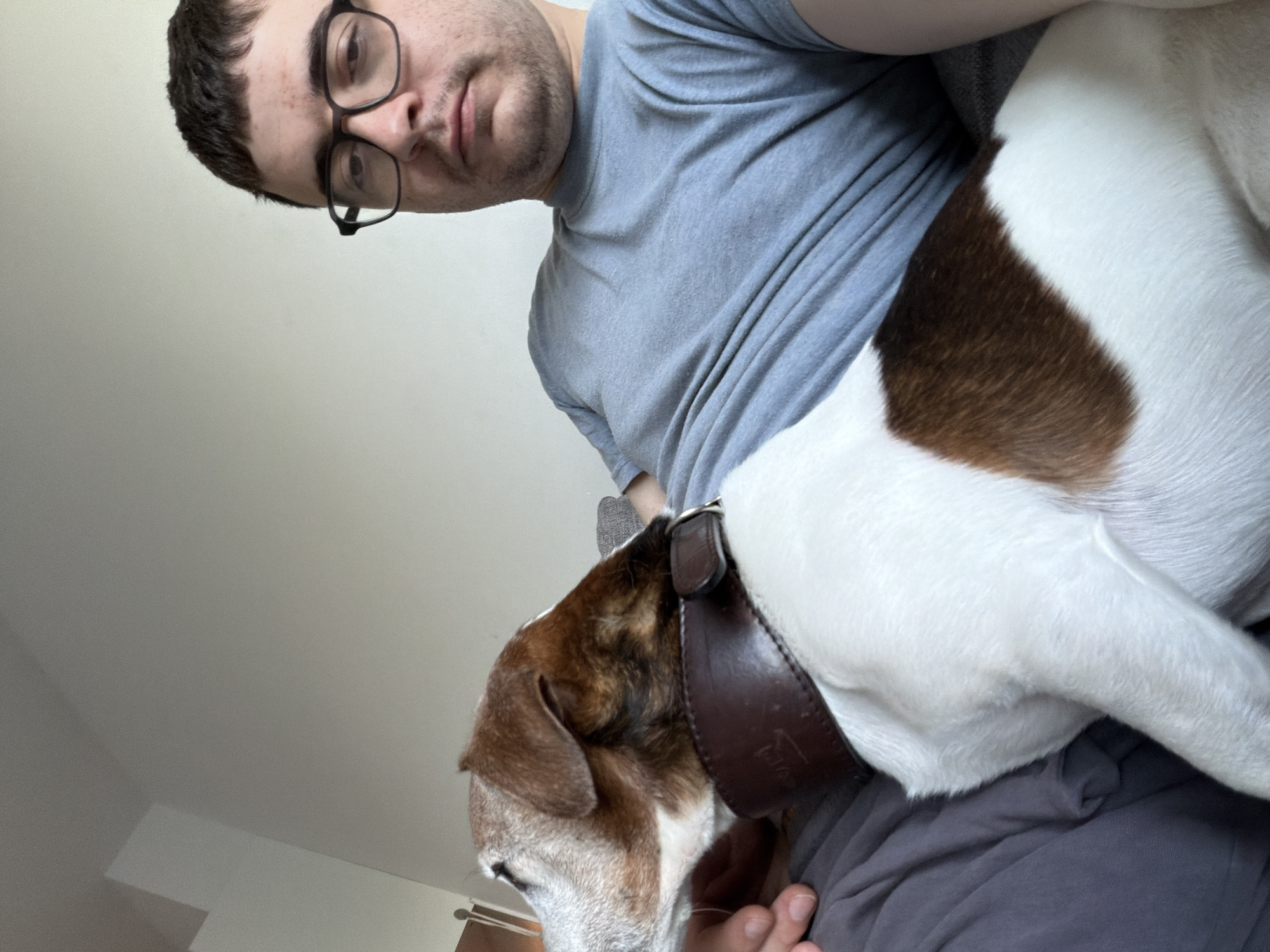 A man wearing a gray t-shirt and black-rimmed glasses is sitting, with a brown and white dog resting on his lap and chest. The dog is facing away from the camera, with its head turned towards the man. The man's left arm is visible, resting on the dog. The background is a plain, light-colored wall. The scene appears to be indoors, likely in a home.