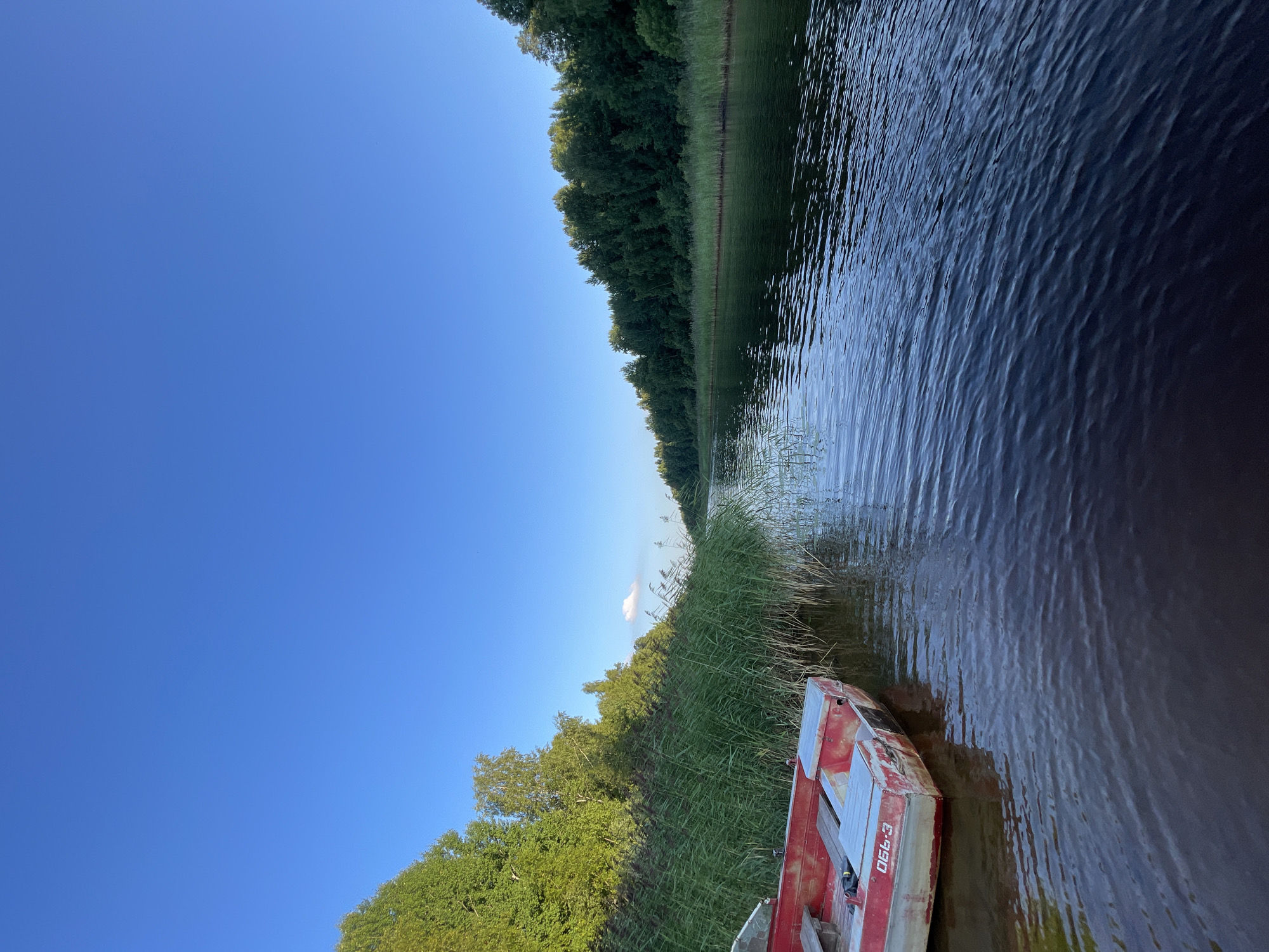 In Kobona, Russia, a red and white rowboat is tied to the shore of a calm river, surrounded by tall green reeds and dense trees. The sky is a clear blue with a single white cloud. The water is dark and reflects the trees and sky, creating a peaceful and natural scene.