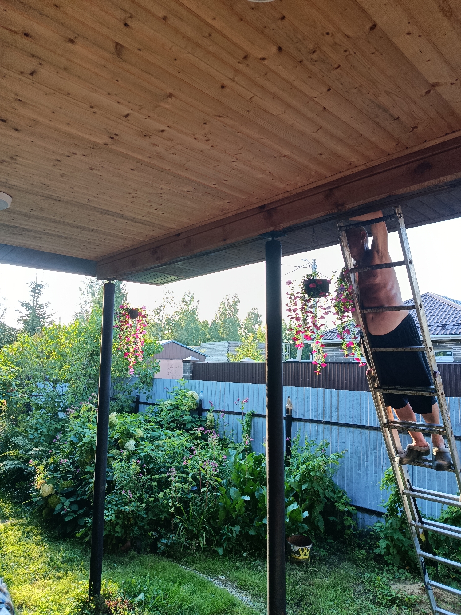 A shirtless man in black shorts and brown slippers climbs an aluminum ladder attached to the underside of a wooden-planked covered patio. He is positioned with his torso facing away from the camera, his right arm extended upwards. Two hanging baskets with pink flowers are suspended from the patio's edge, one near the man. The patio is supported by dark, cylindrical posts. In the background, a light blue corrugated metal fence encloses a garden filled with lush green foliage, including flowering bushes with white and pink blooms. Beyond the fence, residential buildings with brown tile roofs are visible, along with trees and a bright sky, suggesting an outdoor setting in a residential area. The overall scene depicts maintenance or gardening activity.