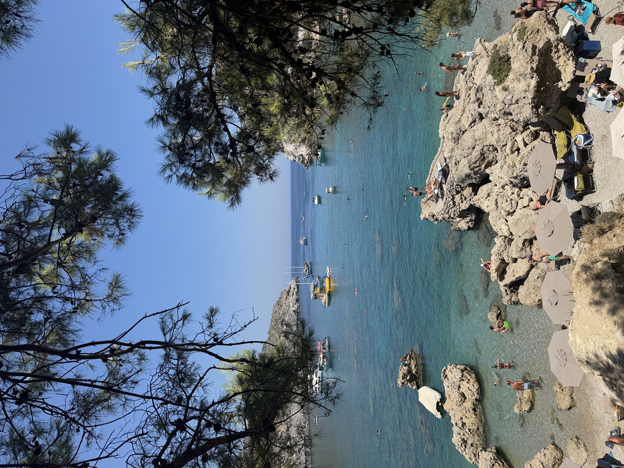 This is a medium shot, taken from an elevated position, looking out over a bay in the city of Rhodes, Greece. The foreground is dominated by the branches and needles of pine trees, silhouetted against a clear blue sky. Below the trees, a rocky shoreline transitions into crystal-clear turquoise water. Several boats are anchored in the bay, including a large white yacht, a yellow boat with a slide, and smaller speedboats. People are swimming and sunbathing on the rocks and in the shallow water. Beach umbrellas and lounge chairs are set up on the pebbled beach. The rocky cliffs of the bay are visible in the background, with more boats and the distant sea meeting the horizon. The overall scene depicts a vibrant, sunny day at a popular coastal resort.