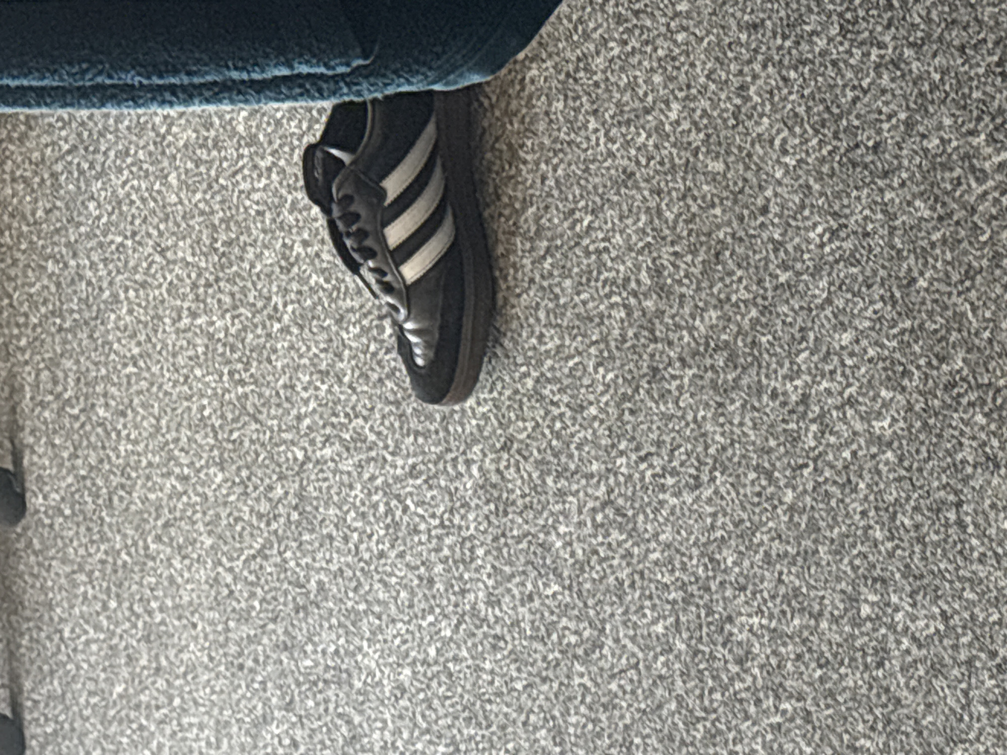 A black and white Adidas sneaker rests on a speckled grey carpet. The sneaker is positioned on its side, with the sole facing upwards, and the laces are visible. To the right of the shoe, a dark blue fabric is partially visible, suggesting the presence of furniture or another object. The overall scene is indoors, likely in a domestic setting, given the carpet.