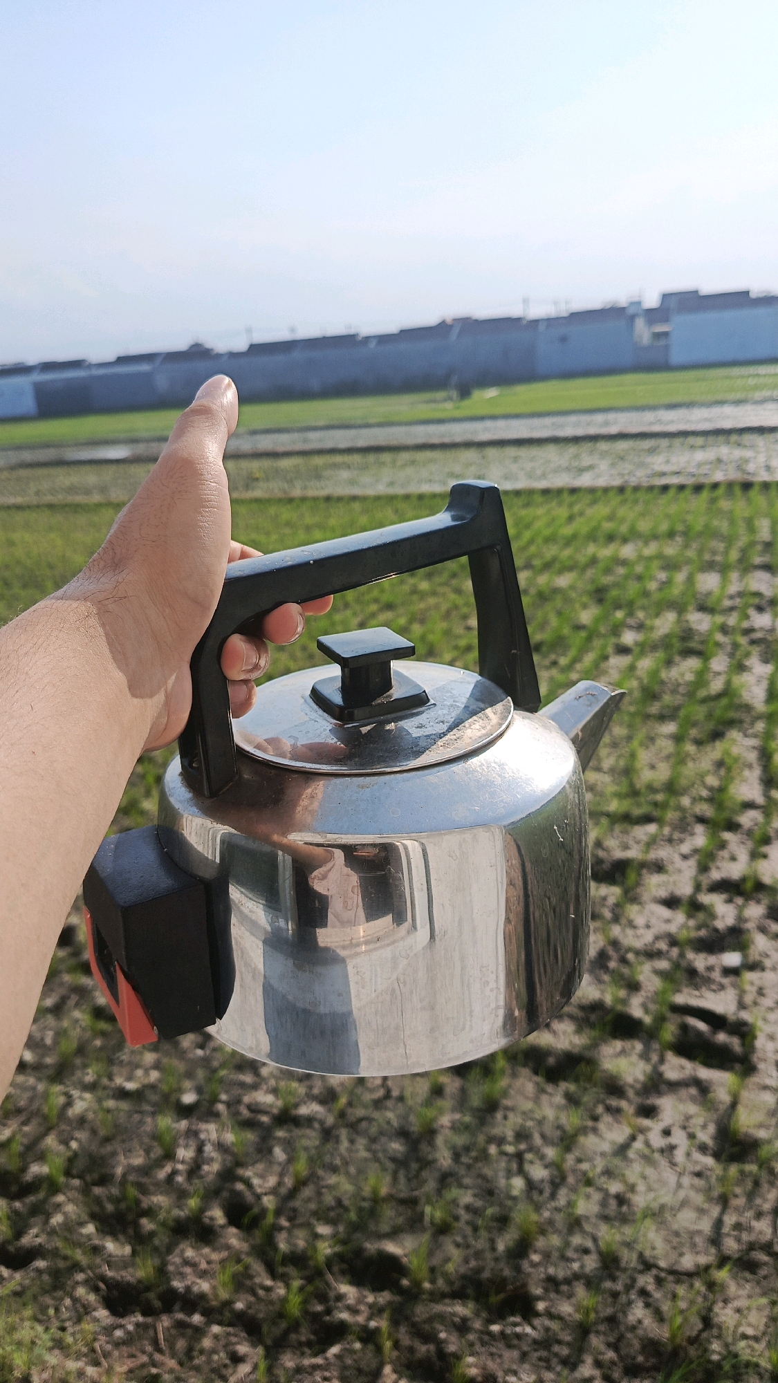 A hand holds a metal electric kettle in the foreground, with a rice field stretching into the background under a clear sky. The kettle is silver with a black handle and a black knob on the lid. A red and black switch is visible on the side of the kettle. The rice field appears to be recently planted, with rows of young green shoots emerging from the dark soil. In the distance, a long, low building or wall with a series of structures on top runs horizontally across the frame, possibly indicating a residential area or agricultural facility on the outskirts of Babadan, Indonesia. The lighting suggests it is daytime, with the sun casting subtle shadows.