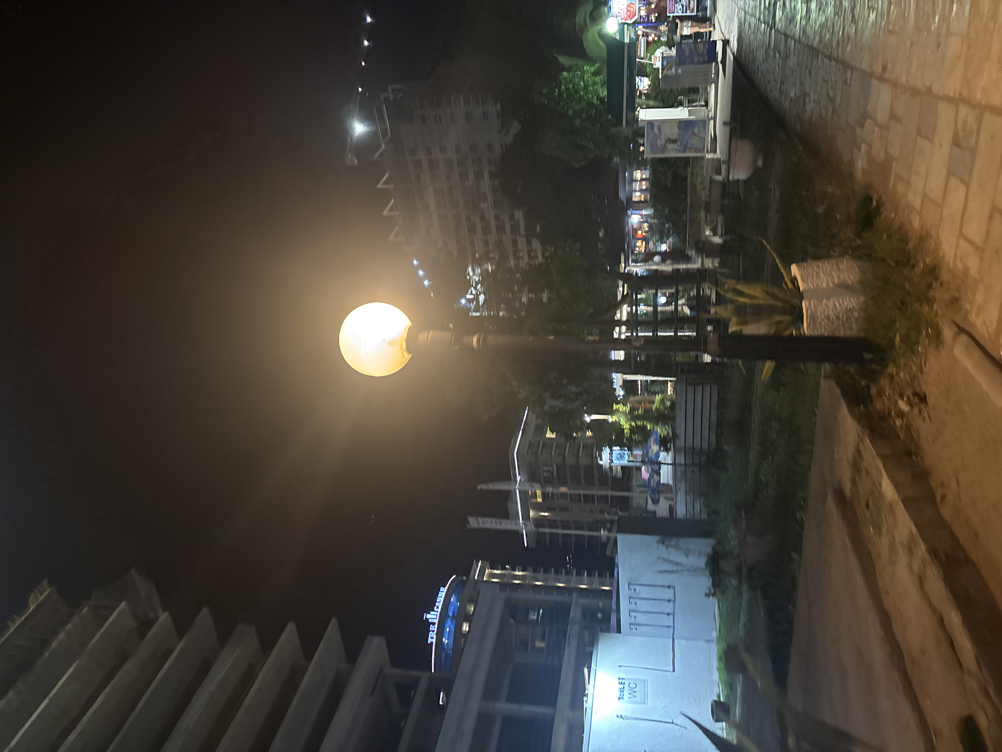 The image captures a nighttime scene in Budva, Montenegro. A prominent street lamp illuminates the foreground with a warm, yellow glow, contrasting with the darker sky. In the background, several buildings of varying heights are visible, suggesting an urban environment. Some of the buildings are lit, adding to the ambiance of the scene. The image also shows parts of the sidewalk and some vegetation along the side. A sign indicates the presence of public toilets (WC). The overall impression is that of a quiet evening along a city street.