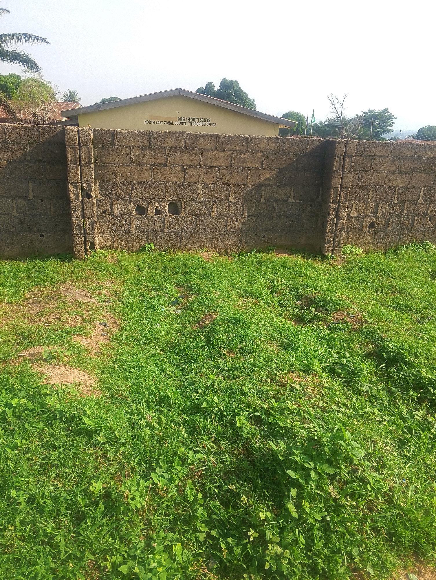 The image depicts the exterior of the North East Zonal Counter Terrorism Office, part of the Forest Security Service, located in Jalingo, Nigeria. The building, painted a pale yellow, has a visible sign with this inscription. It is bordered by a substantial wall constructed from concrete blocks. In front of the wall, a patch of overgrown green grass and some patches of bare earth are visible. The sky is bright and appears overcast or hazy. Two flags, one green and one white with green lettering, are planted near the building, to the right of the main entrance. The overall impression is that of a government or security facility in a semi-urban or rural setting within Jalingo.