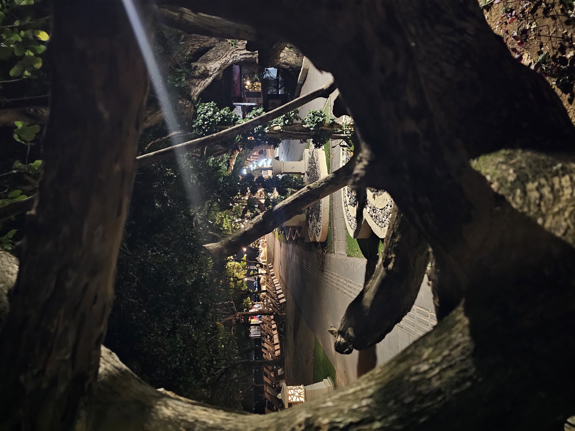 The image depicts a nighttime view through the branches of a tree, looking out onto a pathway with rows of empty lounge chairs. The pathway is lined with planters filled with stones and some greenery. To the left, a decorative lantern with a geometric pattern illuminates the area. Further down the pathway, lights from buildings and trees create a warm ambiance. The scene appears to be a resort or public area, possibly along a beach given the presence of lounge chairs and the suggestion of an open space beyond. The location is identified as Denpasar, Indonesia. There are no people clearly visible in the frame, and the overall atmosphere is tranquil and inviting.