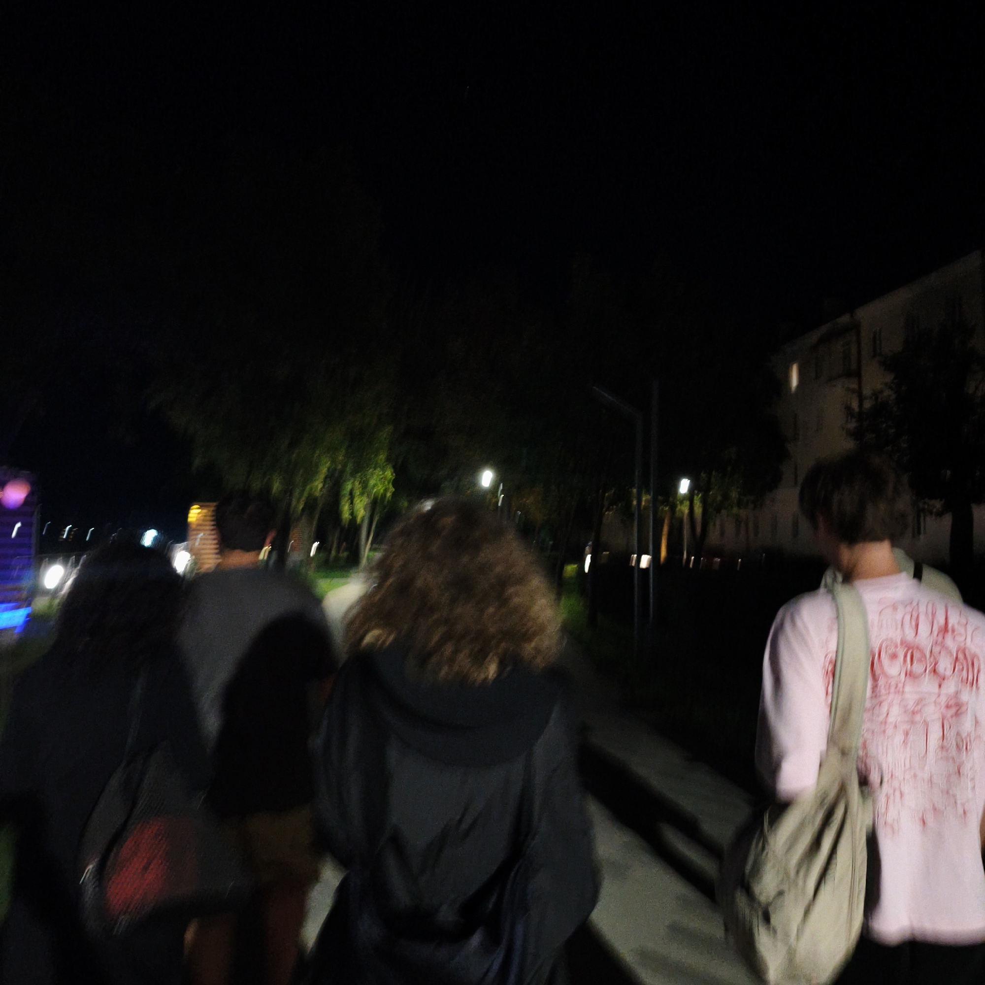 The image depicts a nighttime scene with several individuals walking away from the camera on a paved pathway. The environment appears to be outdoors, possibly a park or a street lined with trees and some artificial lighting. On the right side of the frame, a multi-story building is visible, suggesting an urban or semi-urban setting.
There are at least four people visible. The person closest to the camera on the right is wearing a light-colored t-shirt with red lettering on the back and carrying a light-colored bag over their shoulder. To their left, a person with curly, light brown hair is wearing a dark hooded jacket. Further left, another person is wearing a dark top and carrying a bag with a red design. The leftmost person's attire is mostly obscured by darkness and motion blur.
The lighting conditions are dim, with some lights creating bright spots and streaks due to motion blur. The trees in the background are illuminated by lights, giving them a greenish hue. The pathway is concrete or asphalt. The overall impression is that of a casual evening stroll. There is no specific indication of the location within the city of Hrodna, Belarus, beyond it being an outdoor urban or semi-urban area at night.
