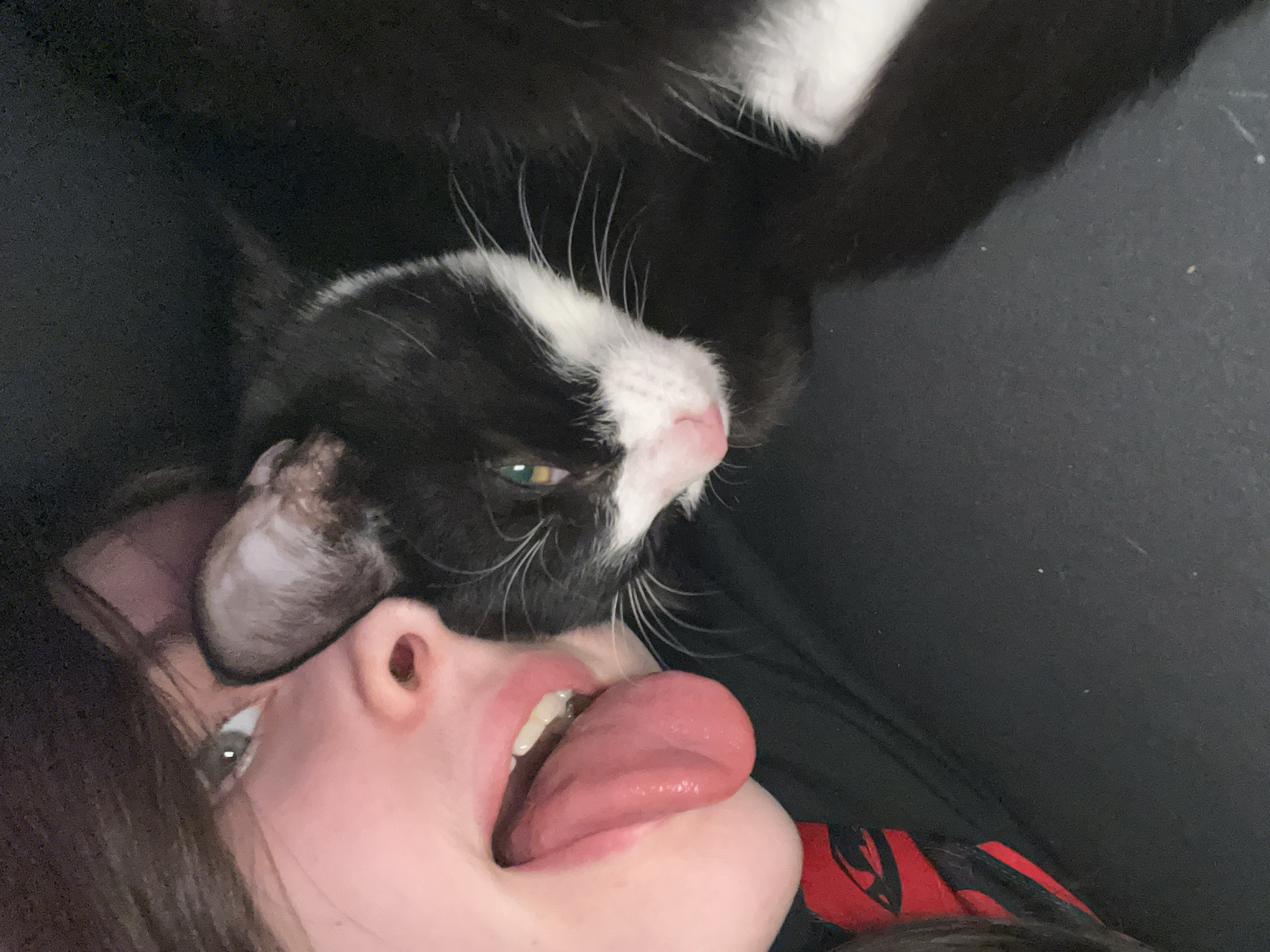 A selfie shows a person lying on their back, mouth open with their tongue extended. A black and white cat is positioned on top of the person. The setting is unclear, but it does not appear to be in Saint Petersburg, Russia.
