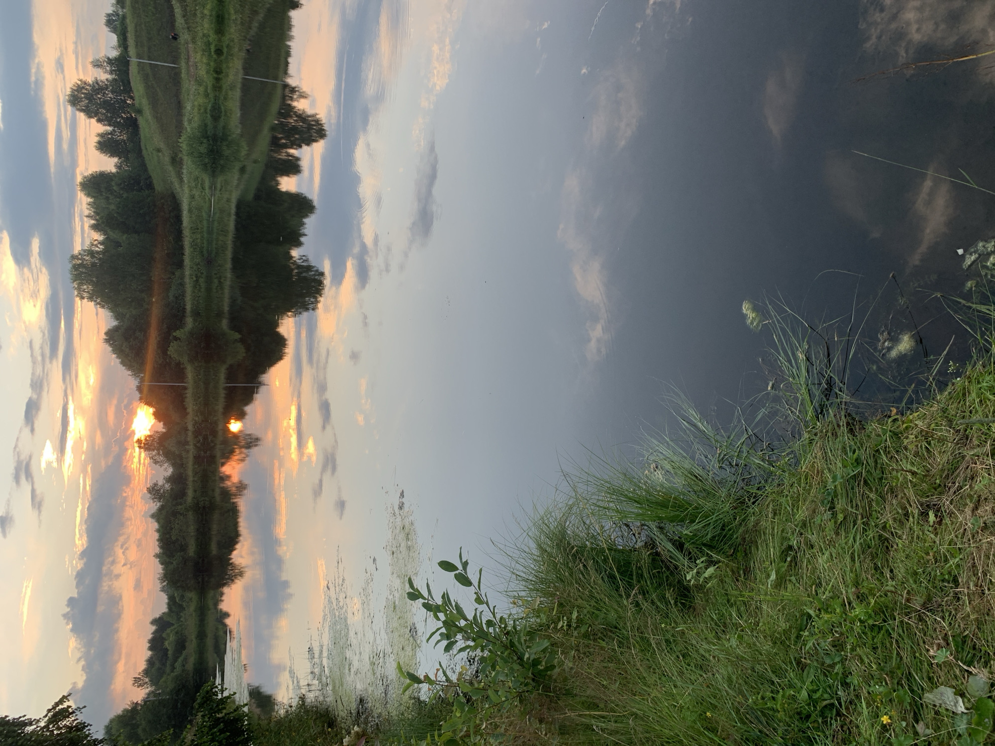 The image depicts a tranquil sunset over a body of water, likely a pond or small lake, with lush green vegetation lining the shore. The sky is painted with hues of orange, yellow, and pink, as the sun dips below the horizon, casting a warm glow. Clouds are scattered across the sky, reflecting beautifully on the calm surface of the water, creating a mirror-like effect. Trees and a gently sloping hill with a single white pole are visible in the background, suggesting a rural or park-like setting. The foreground features tall, wispy grasses and some submerged aquatic plants, adding to the natural ambiance of the scene. The overall impression is one of peace and serenity, capturing the beauty of a summer evening in Zasechnyi, Russia.