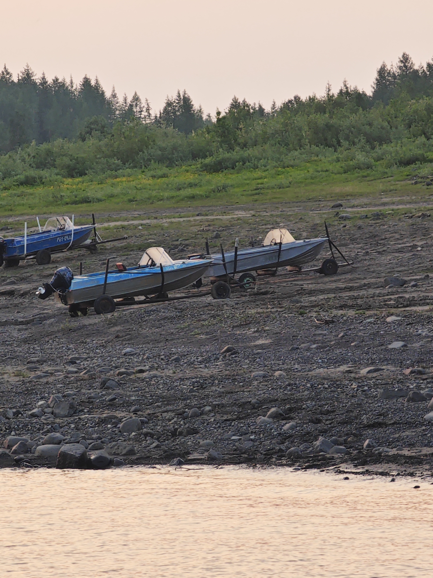 The image depicts a scene in Potapovo, Russia, featuring several small motorboats resting on a rocky, low-tide shoreline. The boats are positioned on trailers, indicating they are out of the water. The water in the foreground reflects the soft, peachy light of what appears to be dawn or dusk, with gentle ripples on its surface. Behind the boats, a slope rises, covered in scrubby green vegetation and interspersed with yellow flowers, leading up to a dense line of coniferous trees that forms the horizon. The sky is a pale, hazy pink.