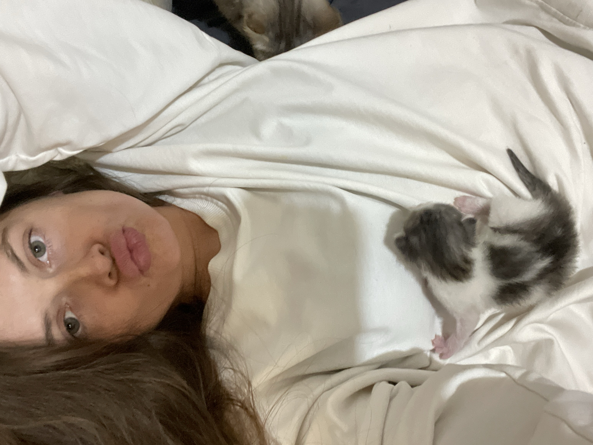 A young woman with dark hair and light-colored eyes is taking a selfie. She is making a duck face, with her lips pursed. She is wearing a loose-fitting, light-colored sweatshirt. Tucked into the front of her sweatshirt is a small, grey and white kitten. The kitten is curled up and appears to be sleeping. In the background, partially visible on the right side of the image, is another cat, mostly out of focus. The environment appears to be indoors, likely a home, with soft lighting. No specific location in Заречный, Russia can be determined from the image.
