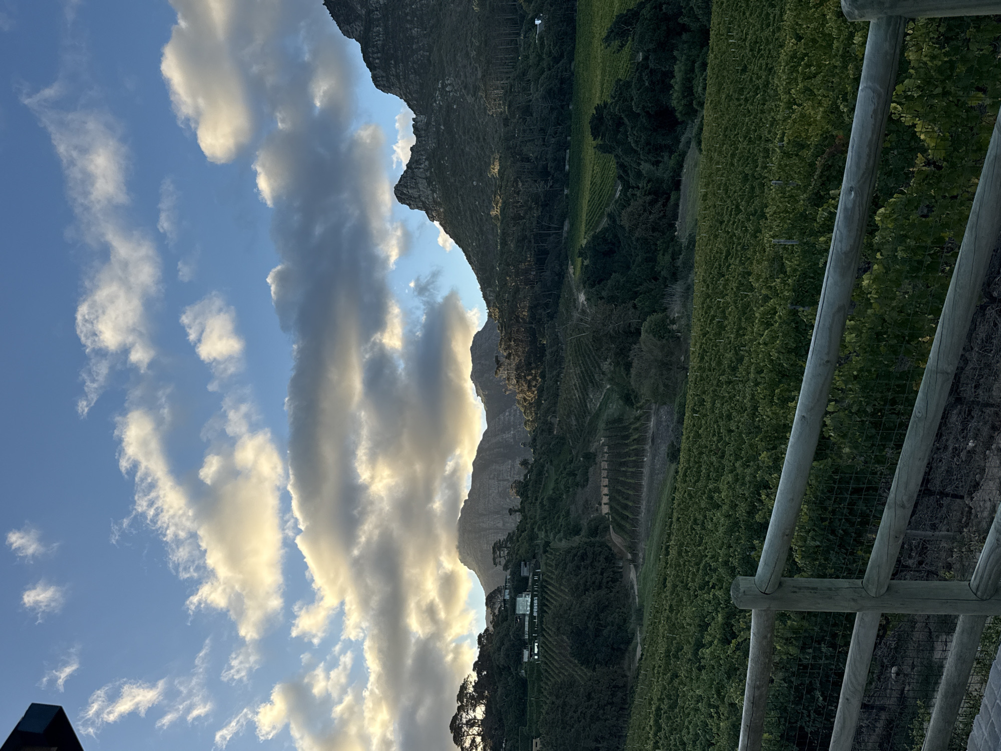 The image captures a landscape in Cape Town, South Africa, featuring a vineyard set against a backdrop of mountains and a partly cloudy sky. The vineyard, with rows of cultivated vines, extends from the right edge toward the center of the frame. A wooden fence structure is visible in the foreground, partially obscuring the view. In the midground, dense patches of trees and possibly other vegetation are interspersed with the vineyard. Towering mountains dominate the background, their rocky faces partly illuminated by sunlight breaking through the clouds. The sky is a mix of blue and white, with large, billowing clouds illuminated on their edges by the setting or rising sun.