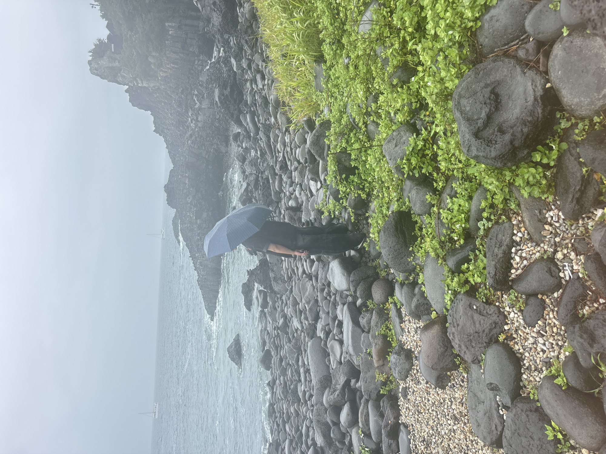 A person stands on a rocky shore holding a blue umbrella on a foggy day. The person, seen from the back, is wearing dark clothing. The shore is covered in large, dark, rounded stones and smaller pebbles, with patches of green vegetation growing amongst the rocks. In the distance, the ocean meets the shore, with waves breaking. Two sailboats are visible on the water. To the right of the frame, a steep, rocky cliff face rises, covered in dense greenery. The overall atmosphere is overcast and misty. This scene is likely located at Oedolgae Rock, a famous coastal rock formation in Seogwipo-si, South Korea, known for its dramatic basalt columns and rocky shoreline.