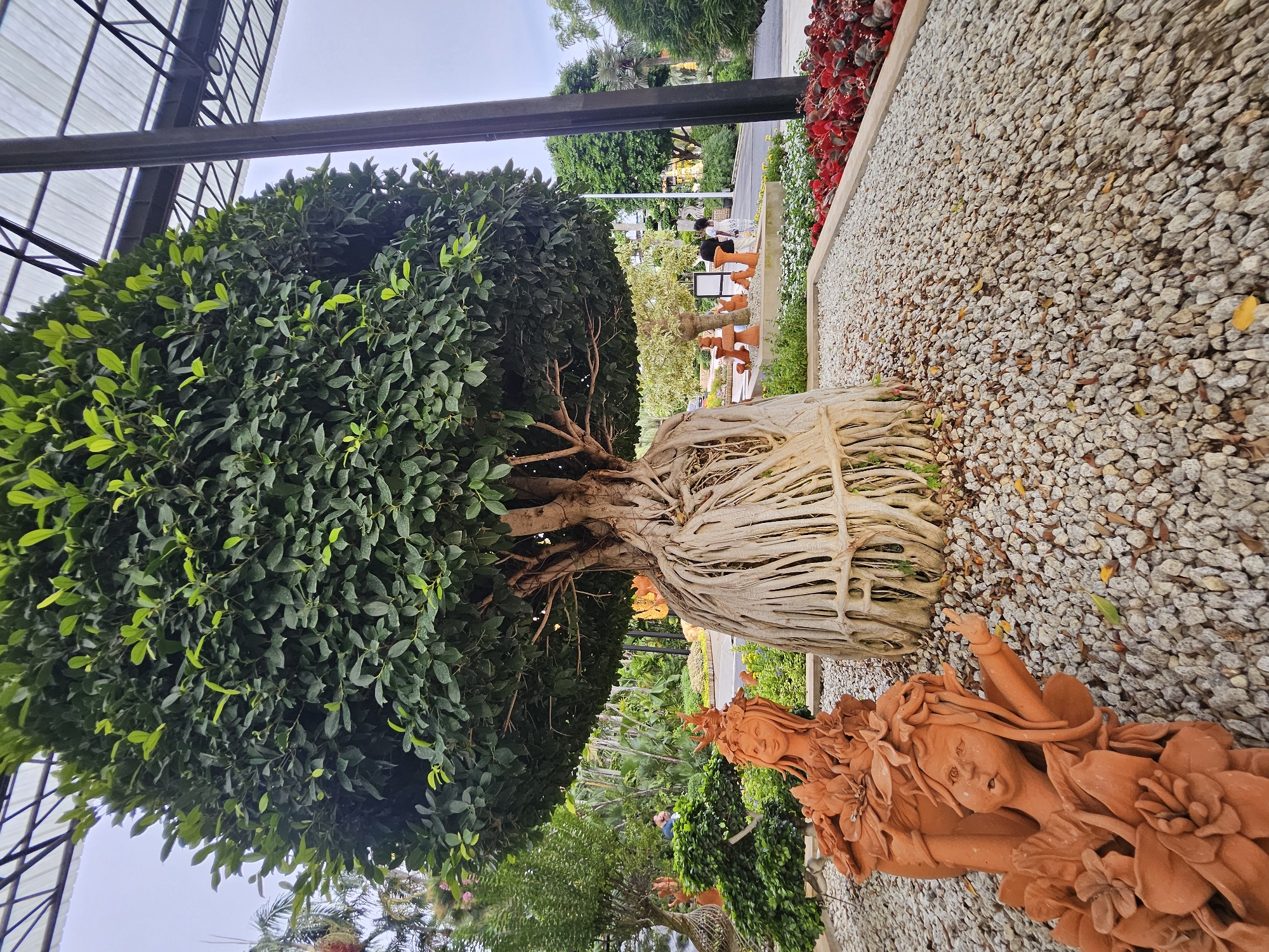 The image captures a scene within a park or garden setting in Na Chom Thian, Thailand, possibly at a botanical garden or a tourist attraction. In the foreground, a large, mature tree with prominent, exposed aerial roots is the central subject. The tree is densely covered with dark green foliage. To the left of the tree, two terracotta statues of women with floral headdresses and ornamentation are positioned. These statues are placed in a bed of light-colored gravel that surrounds the base of the tree. Beyond the immediate foreground, the park features other trees, lush vegetation, pathways, and what appears to be a covered walkway or structure in the background. Several individuals are visible in the mid-ground, walking and interacting within the park, suggesting a public space. The overall environment is verdant and well-maintained, indicating a pleasant outdoor recreational area.