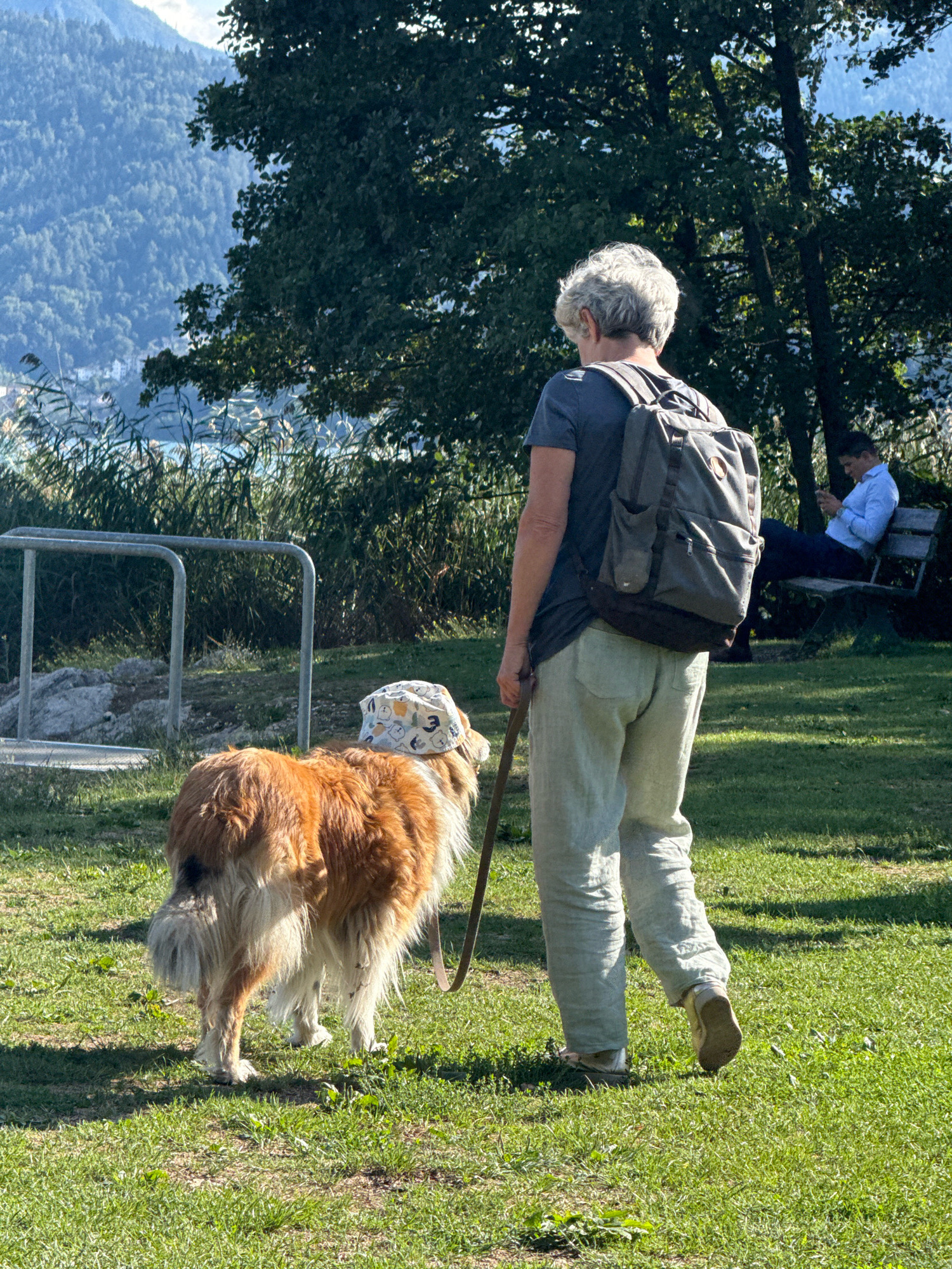 The image depicts a sunny outdoor scene in Pergine Valsugana, Italy. A person with short, gray hair is walking a dog in a grassy park. The person is wearing a dark t-shirt, light-colored pants, and a backpack. The dog is a medium-sized breed with long, reddish-brown and white fur, and is wearing a patterned hat. The dog is on a leash, which is held by the person. In the background, there are trees, a body of water, and distant mountains. A man in a blue shirt is sitting on a park bench in the distance, looking at his phone. The overall environment suggests a relaxed day outdoors in a scenic location.