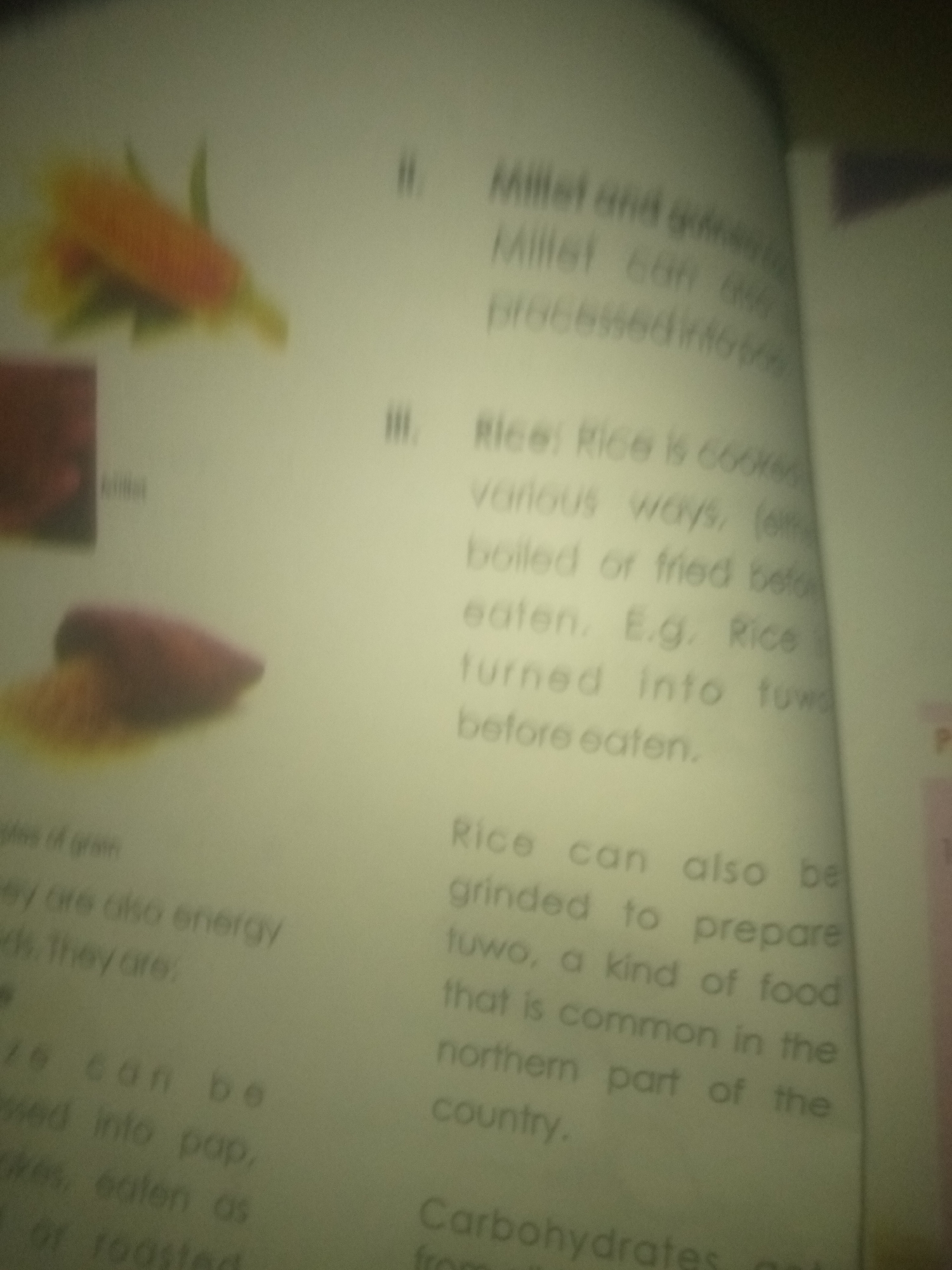 The image is a close-up, blurry photograph of text from a book or document. The text is in English and discusses different types of grains and their preparation, specifically mentioning millet and rice. There are also images of grains or food items on the left side of the frame. The text is the primary subject of the image, with the visuals serving as illustrations. There is no visible indication of the city of Jauro Yinu, Nigeria, or any specific location within it. The image is an indoor shot, likely of a printed page.